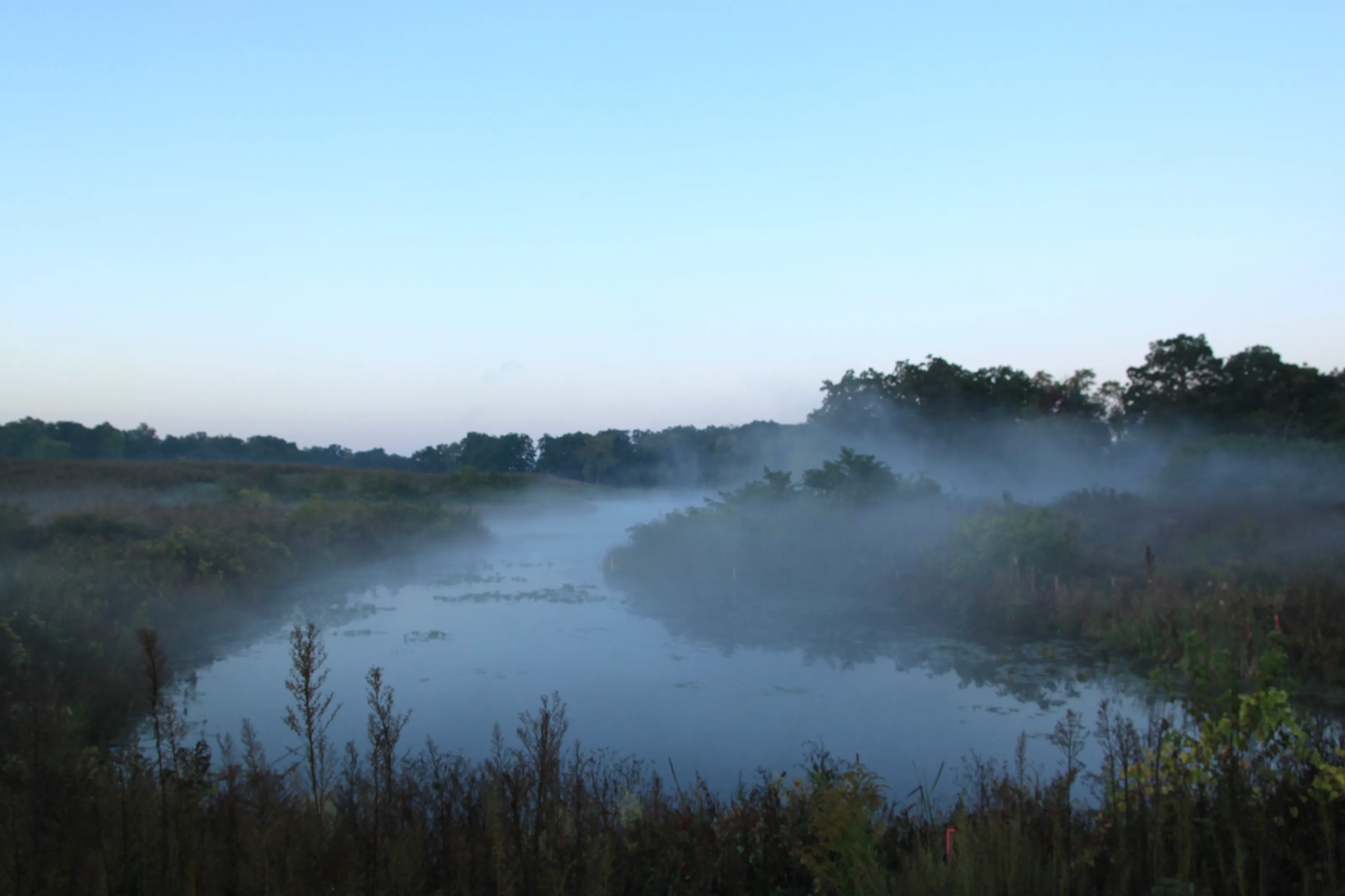 Mist and Fog (in colour)