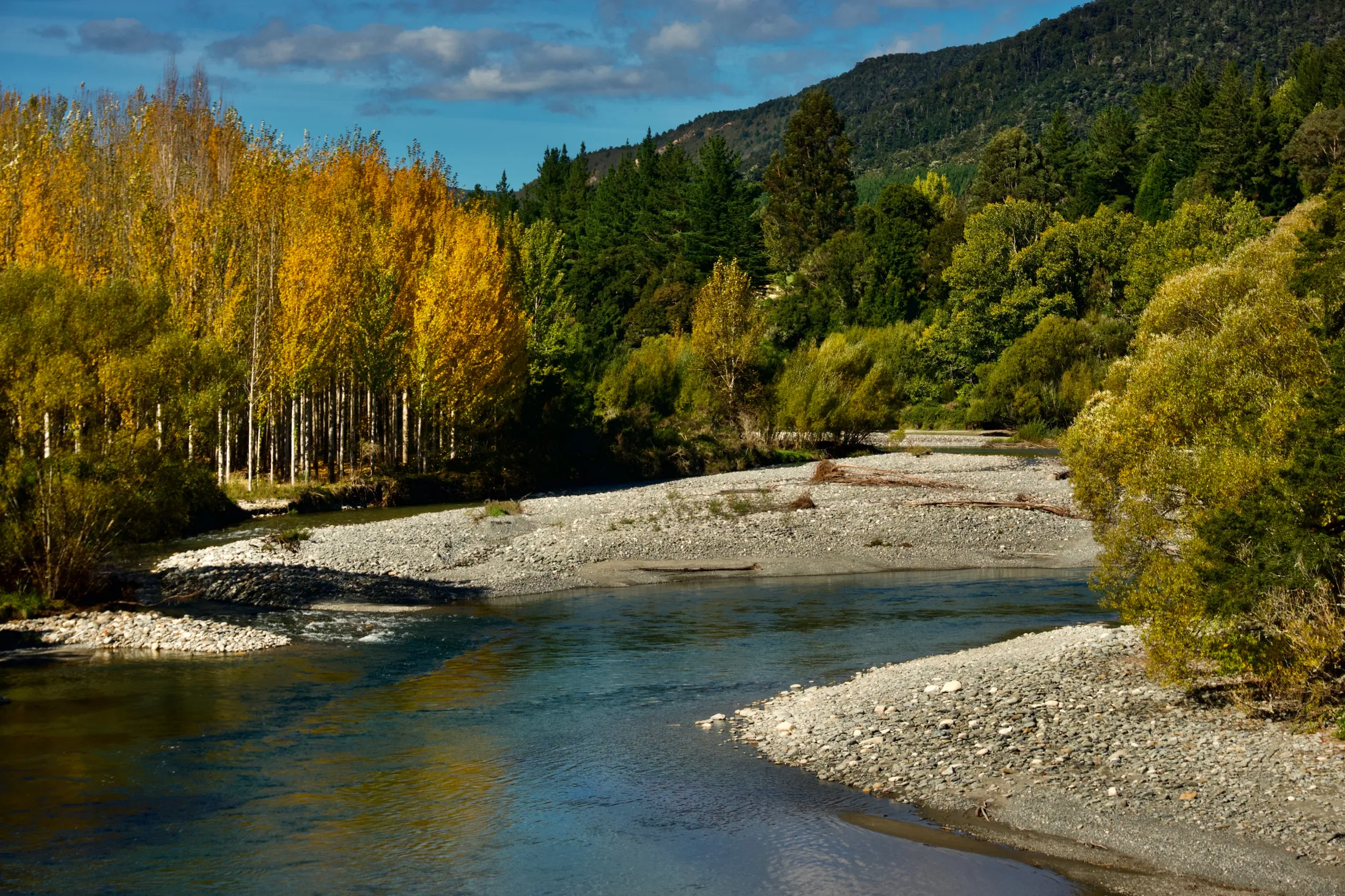 Autumn by the River