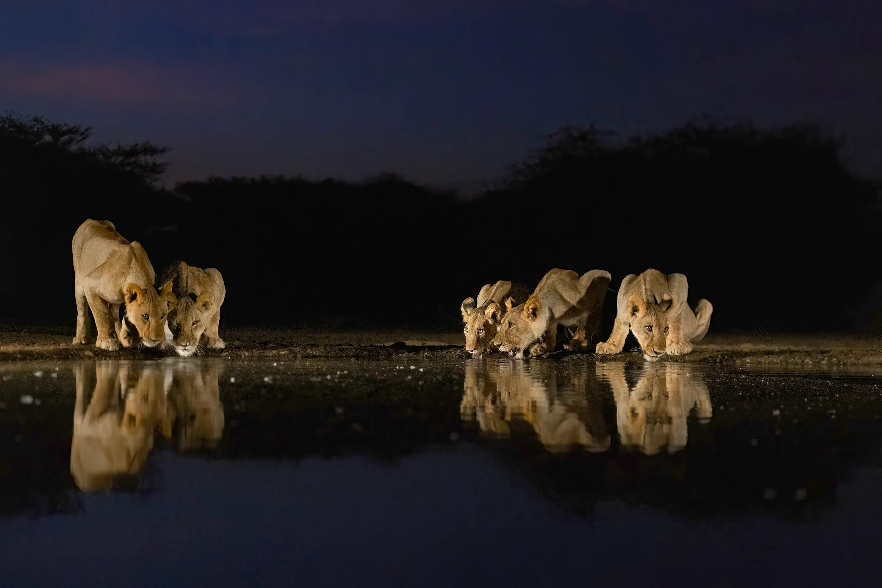 Edge of Night