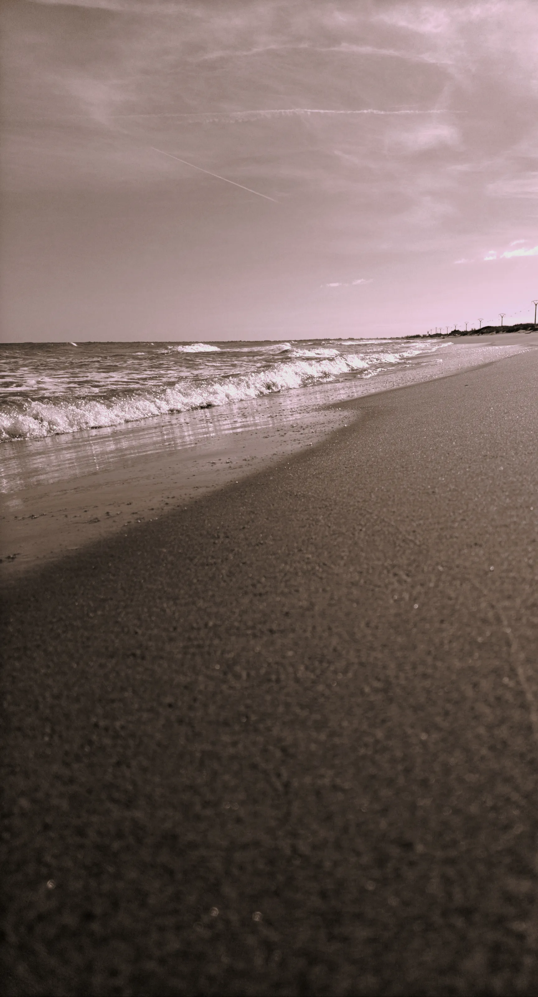 Beach photo