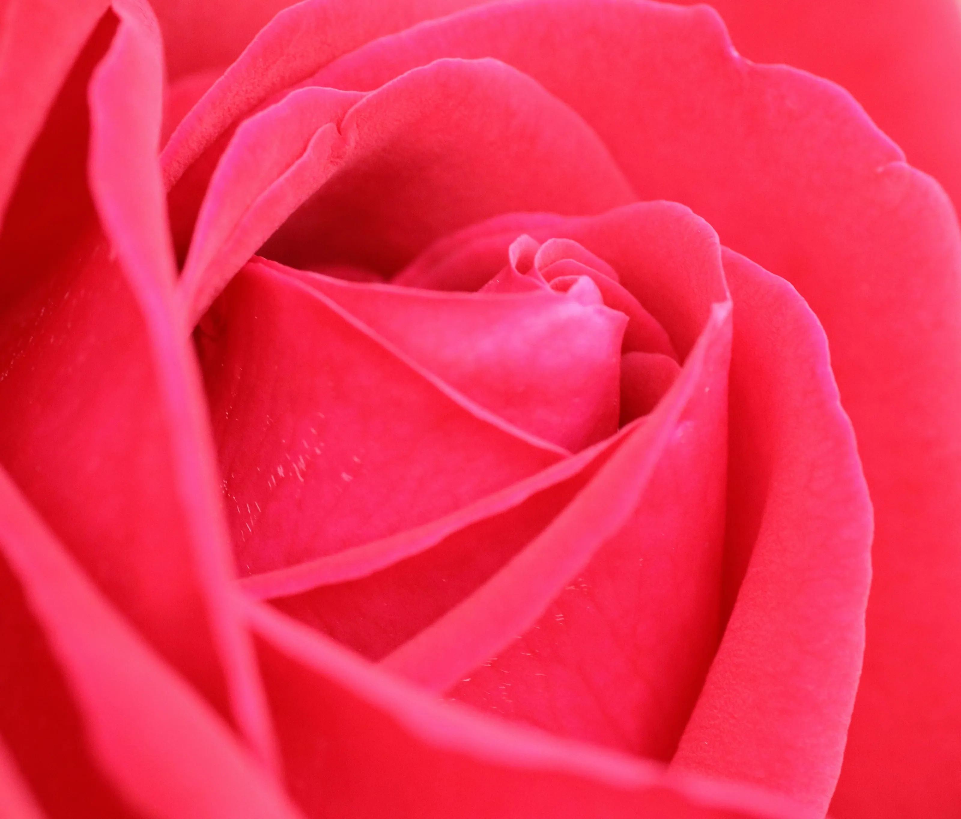 One Colour