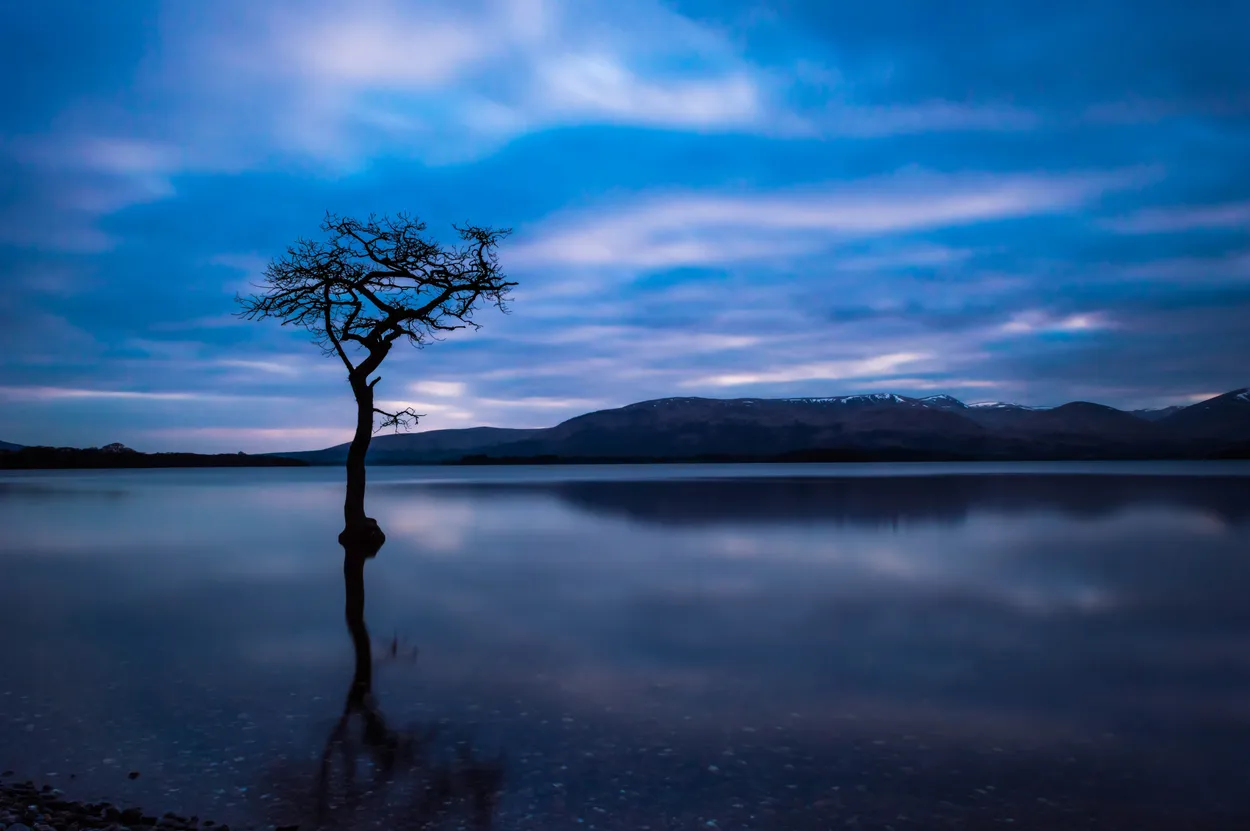 Entry 108283