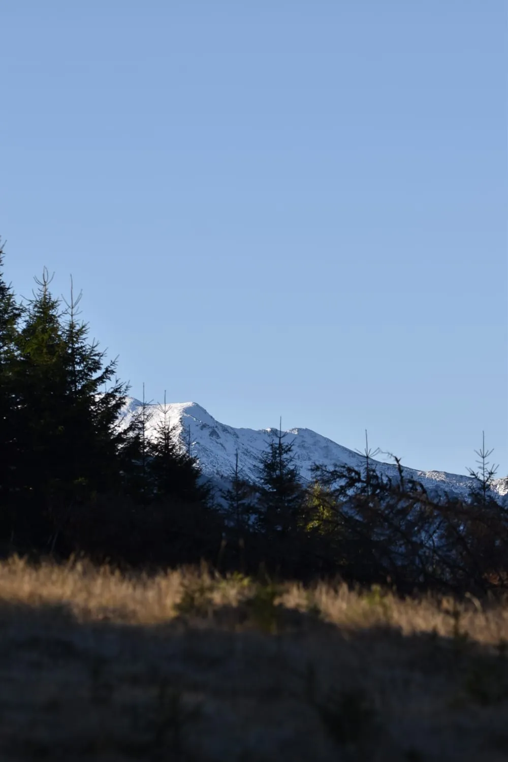 The Summit