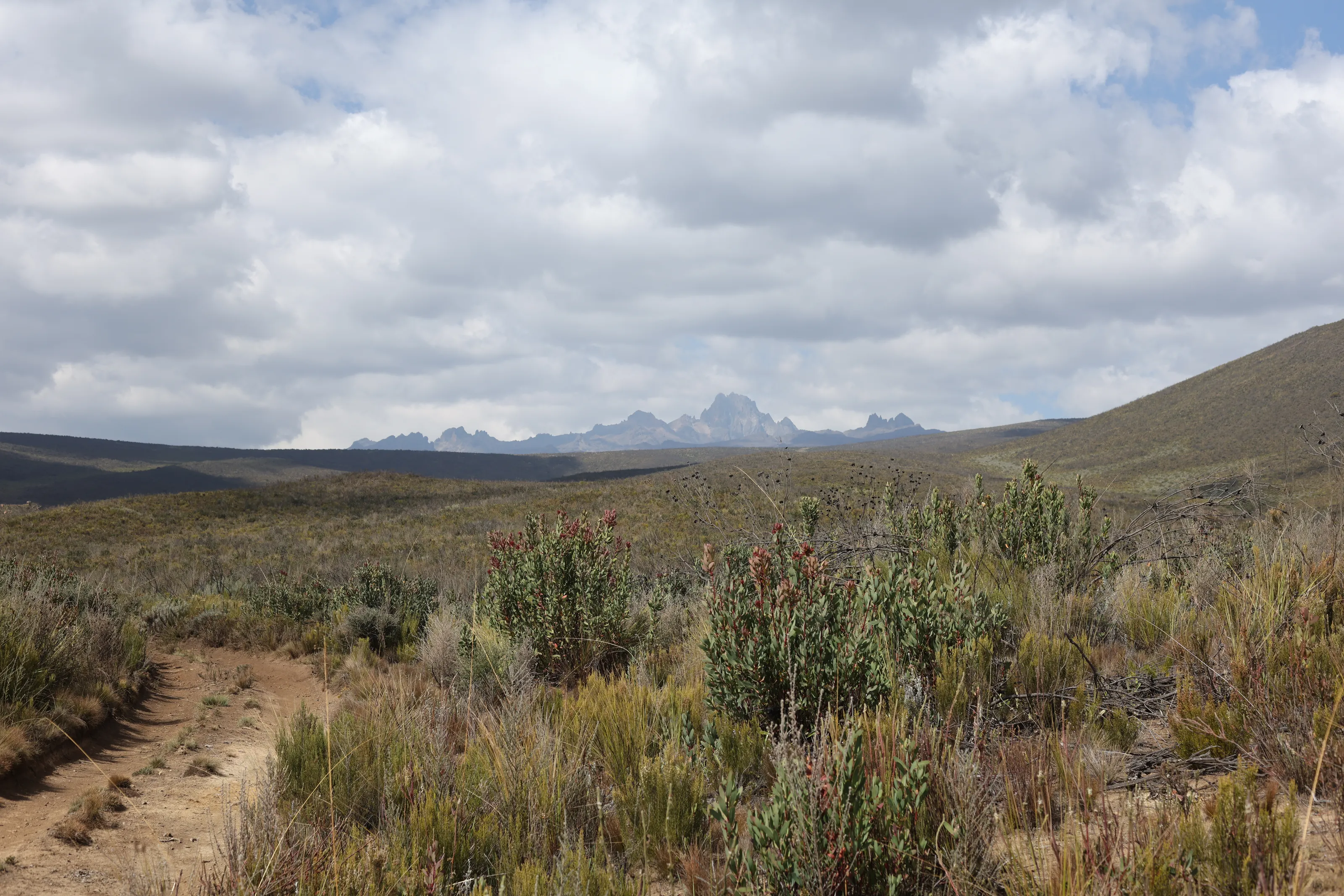 Mt Kenya national park