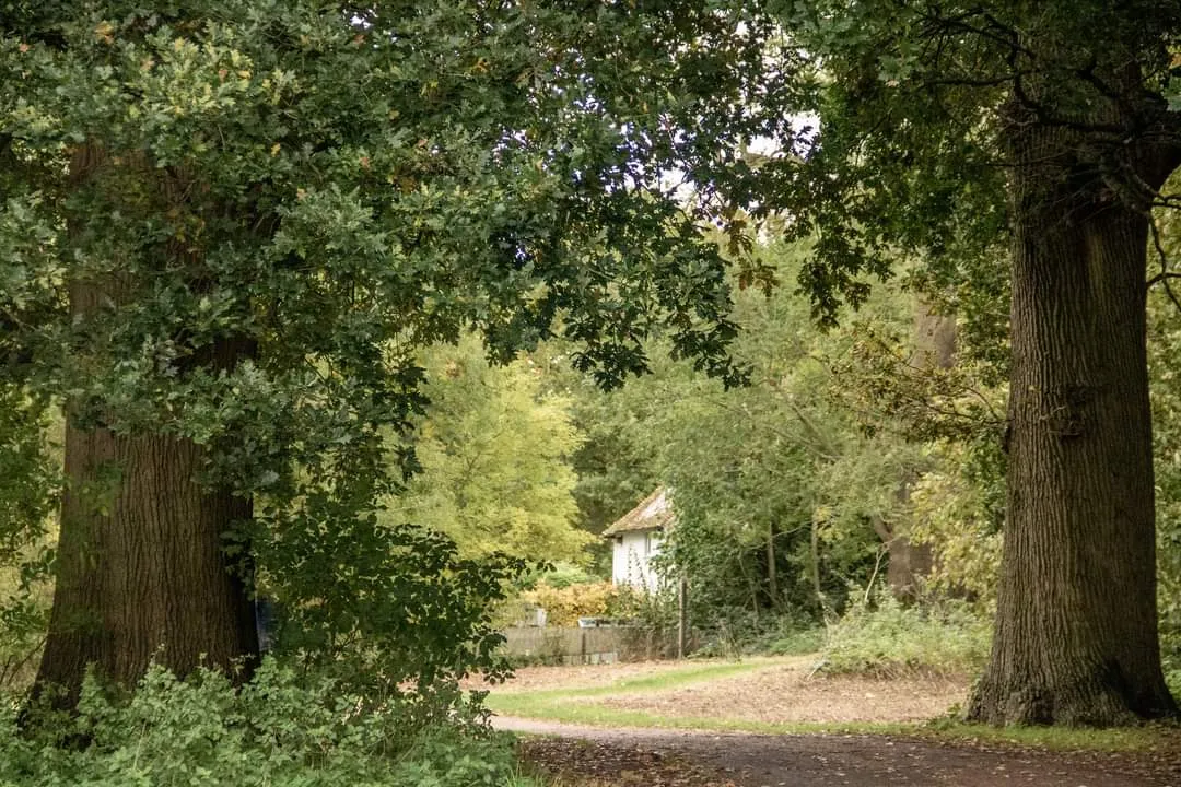 Hidden Home