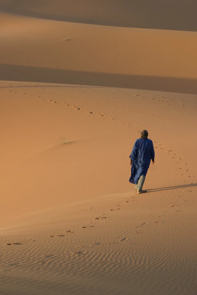 Entry 26118701