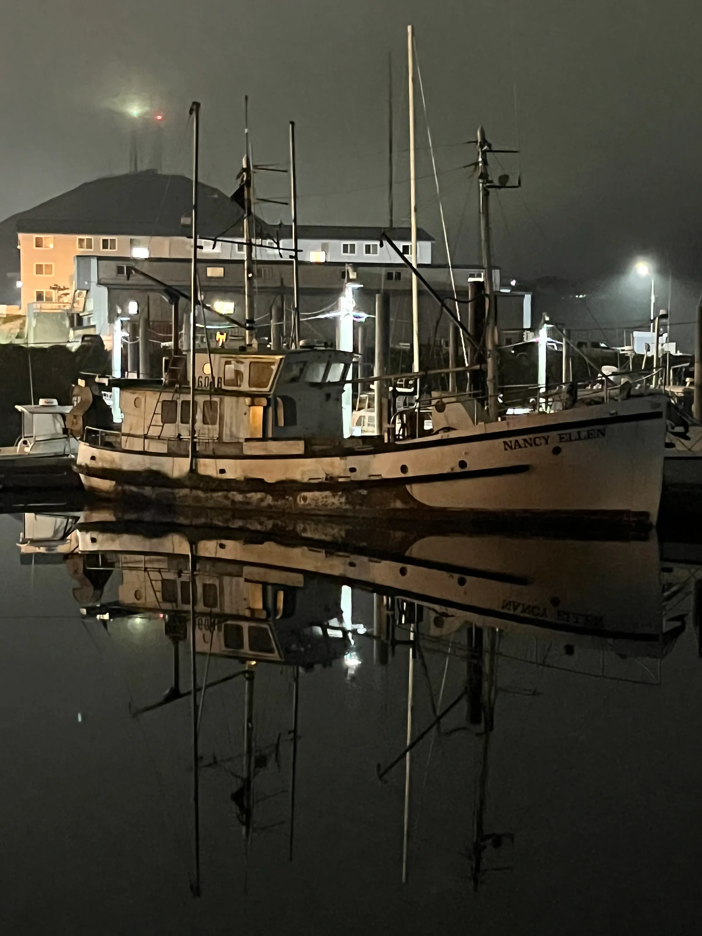 Still in the Harbour