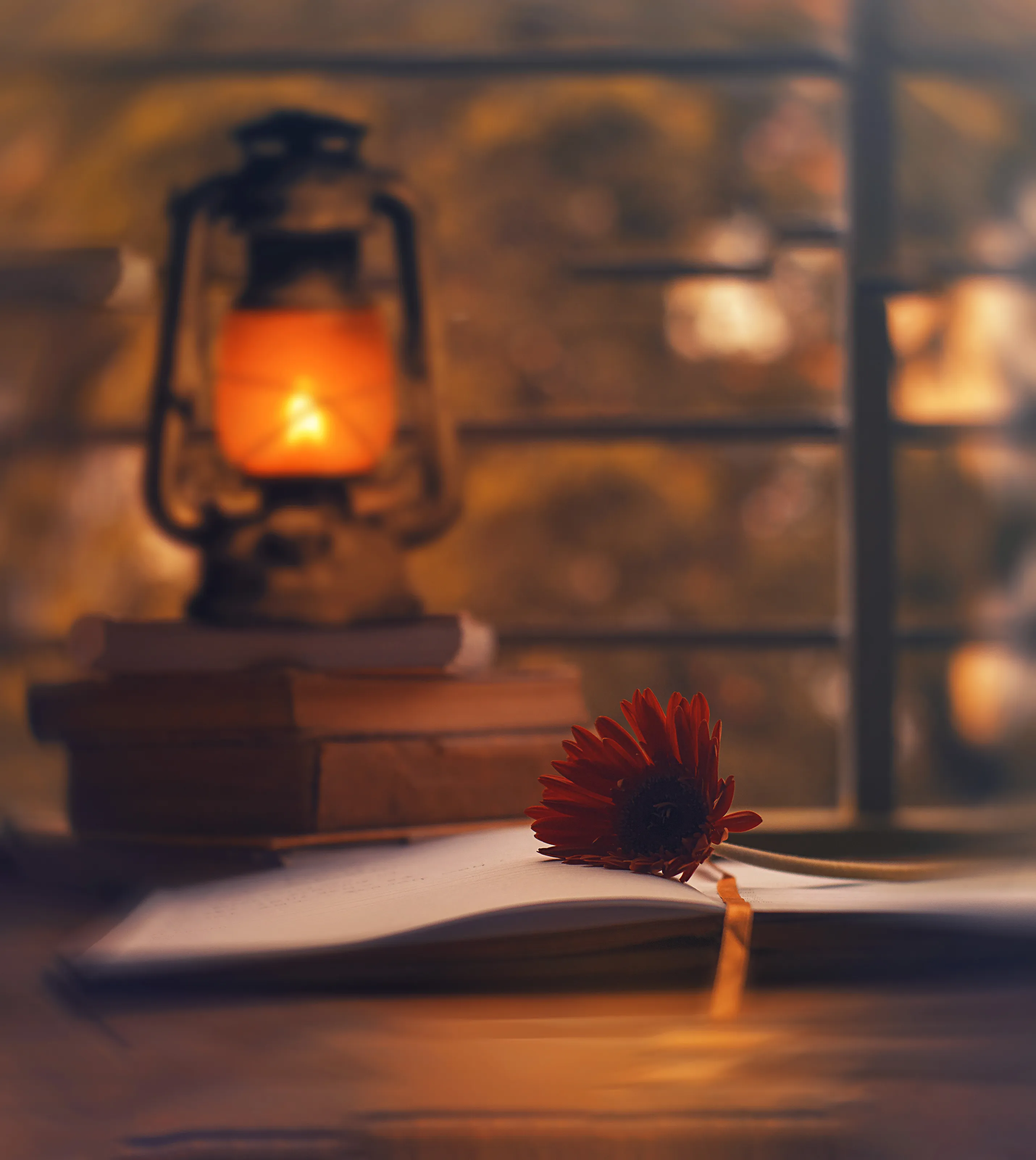 Banner image