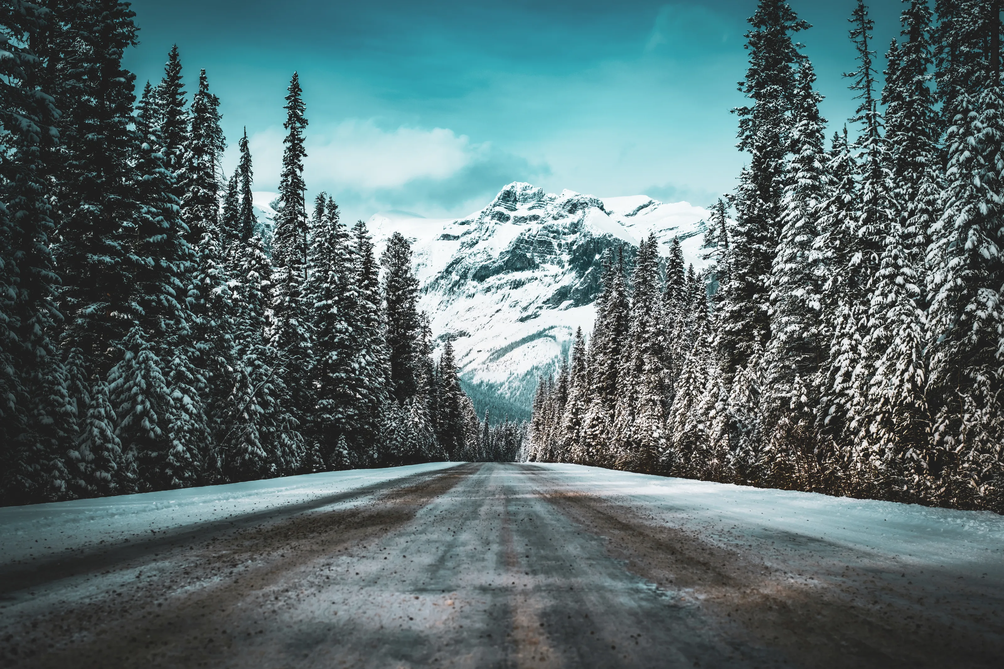 Winter's Embrace: A Journey Through Snow-Covered Peaks