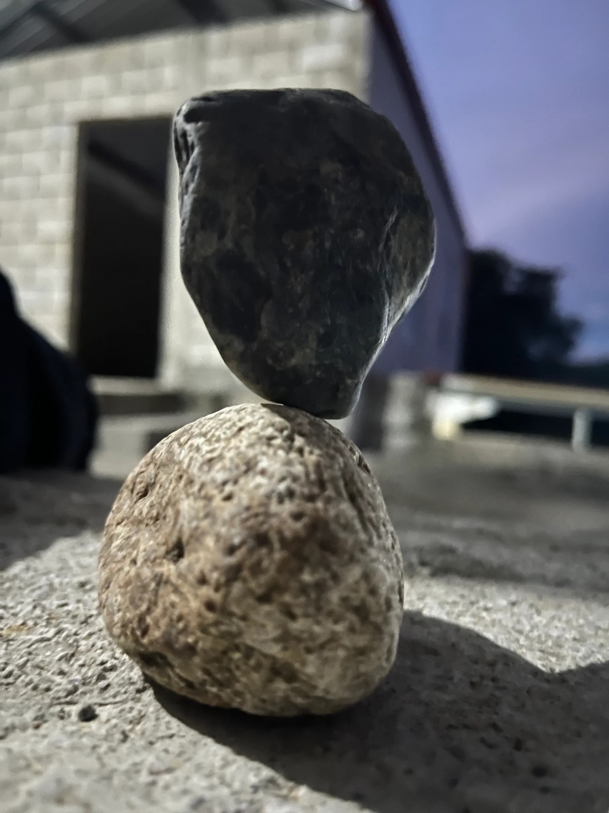 The Balance of Nature