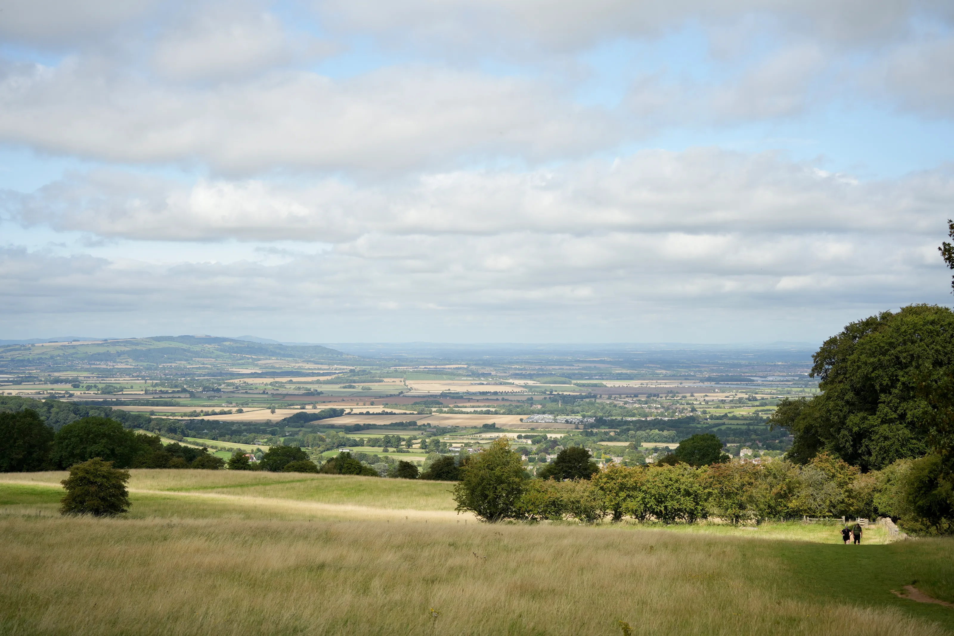 A Quiet Distance