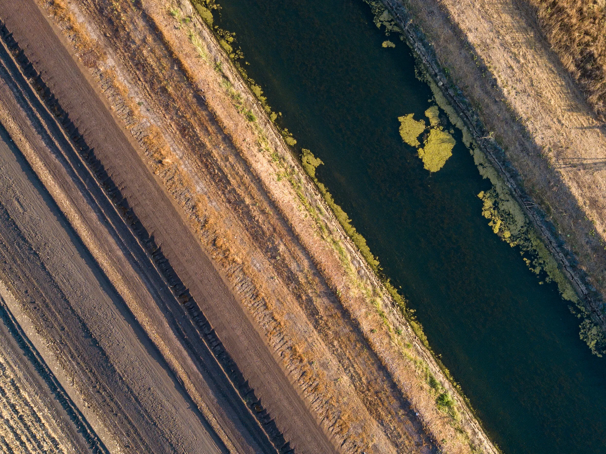 Birds eye view