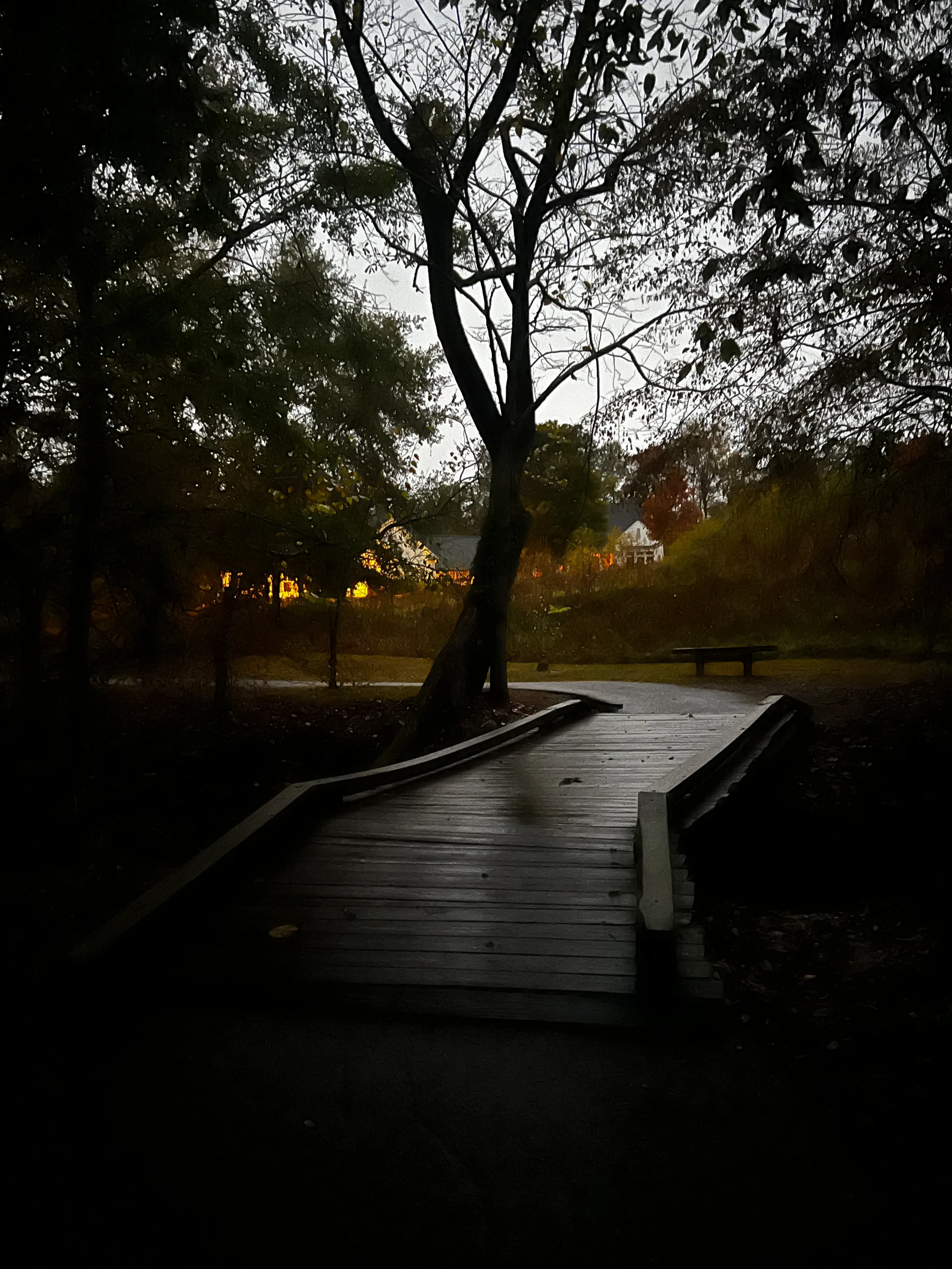 Evening walk
