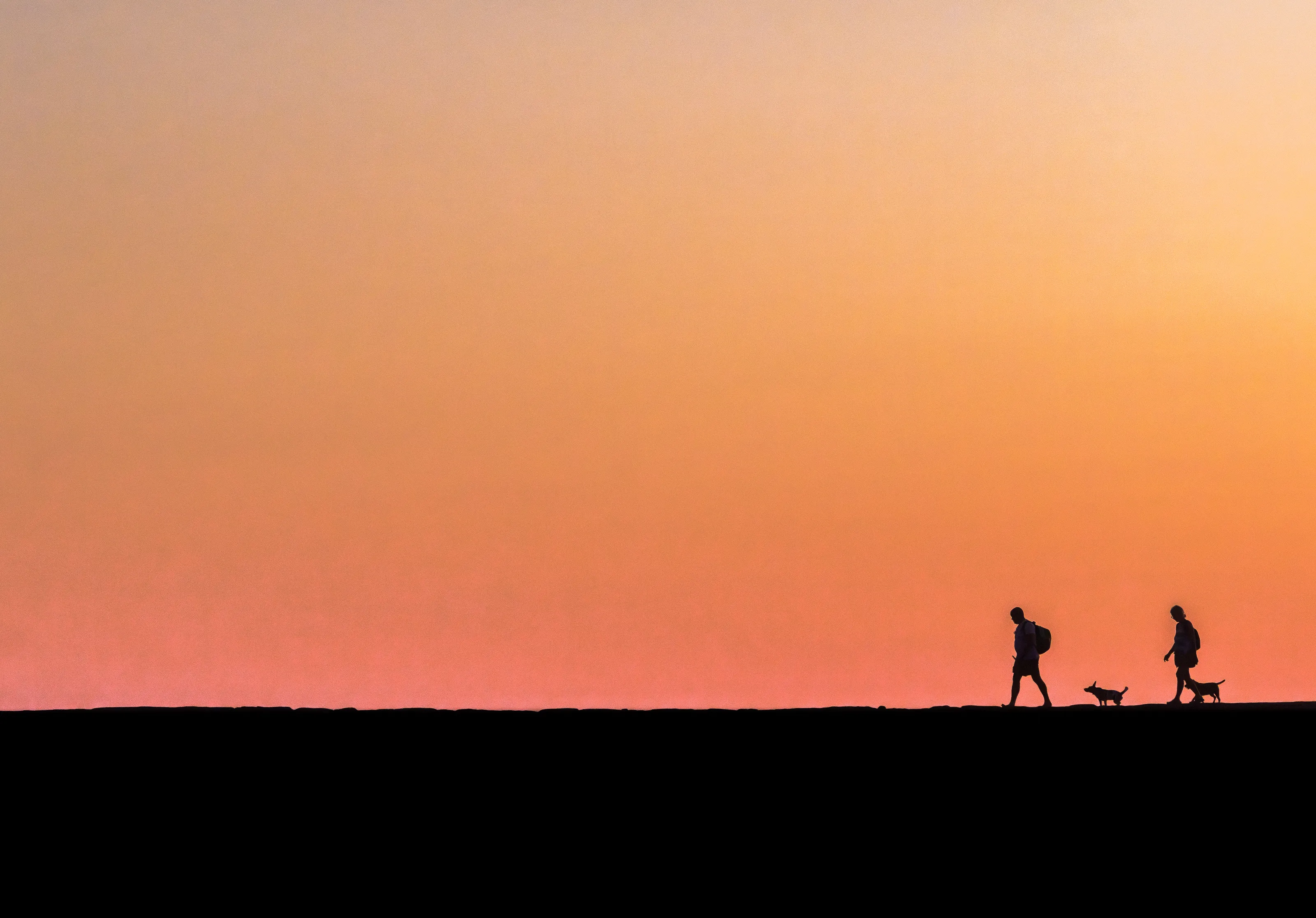 Two and Two at Dusk