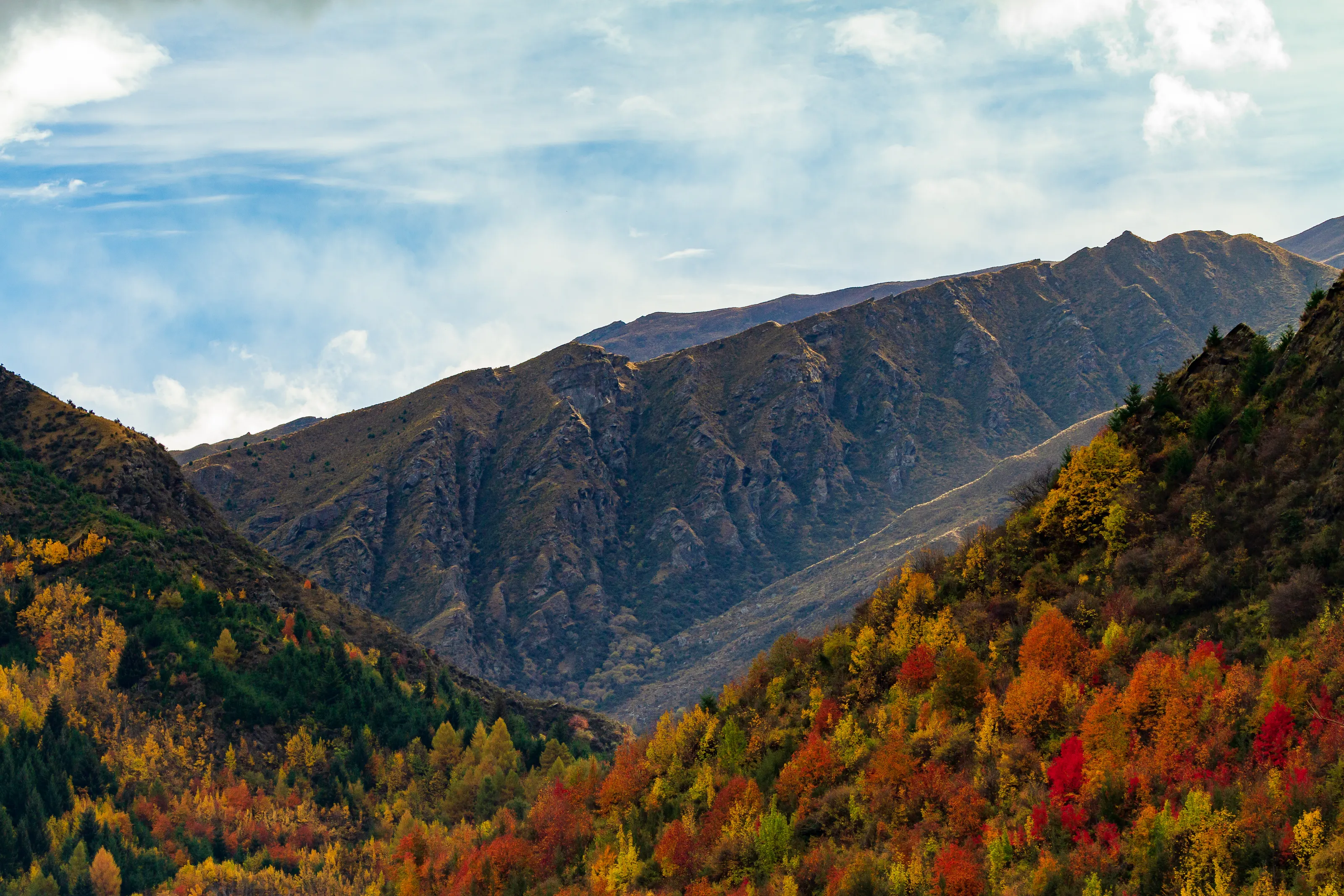 Autumn Vista