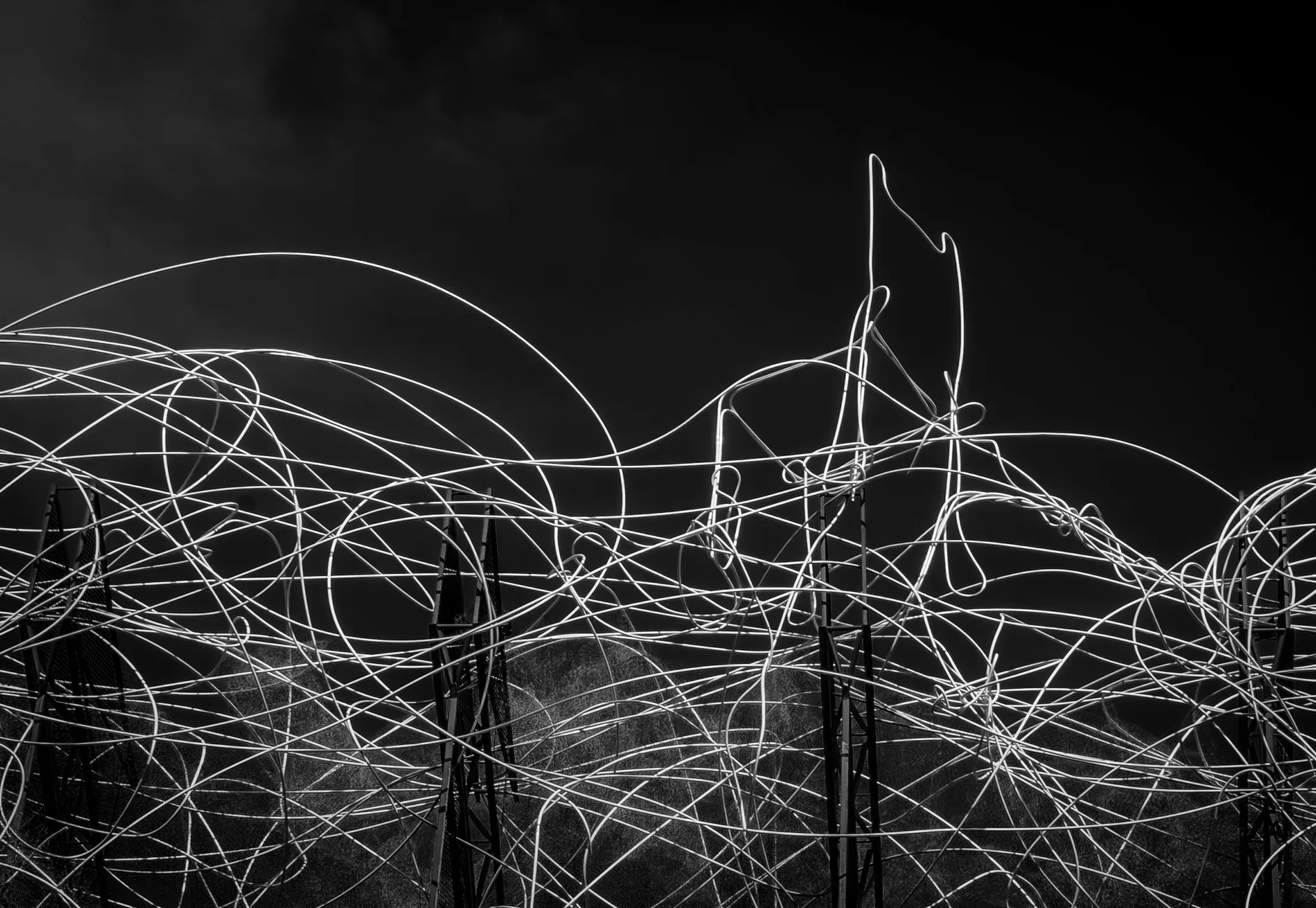 Order out of chaos