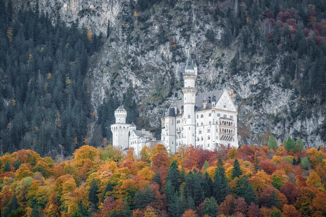 Entry 26177135