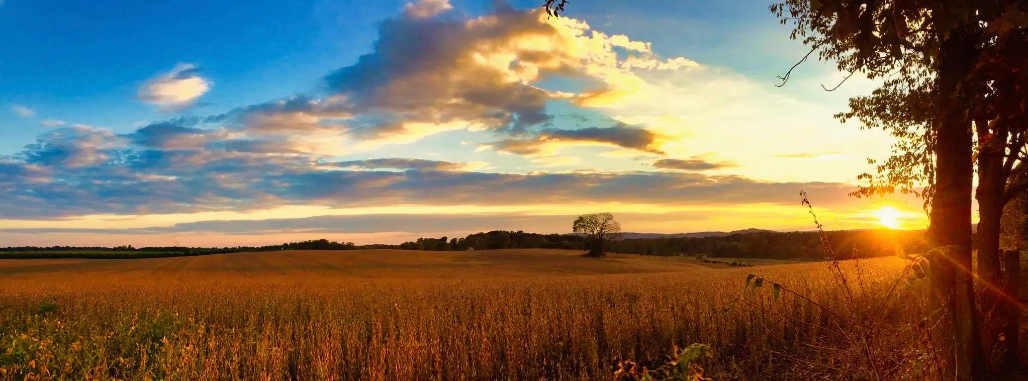 Where the Sky Meets the Earth