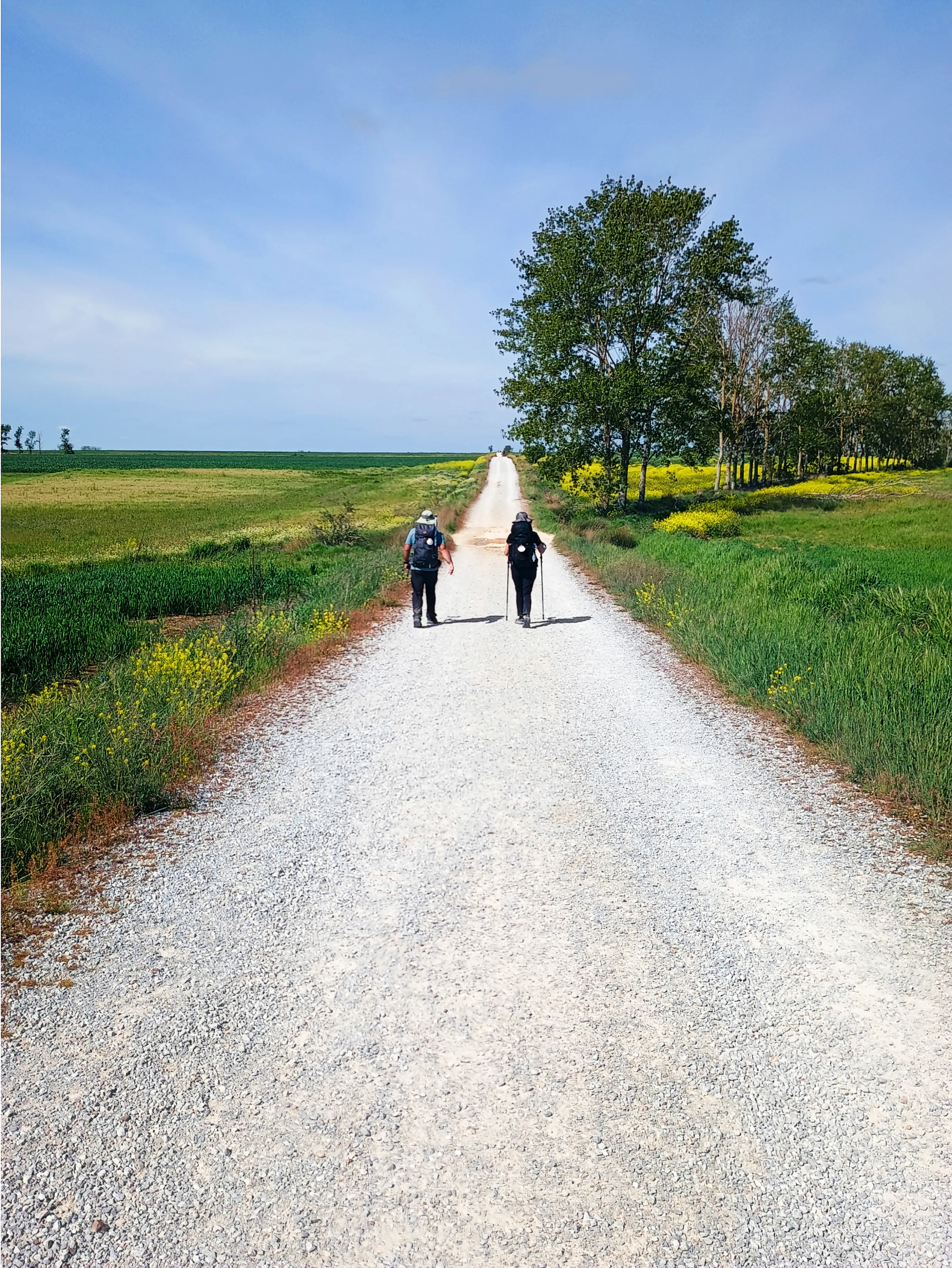Camino Trail