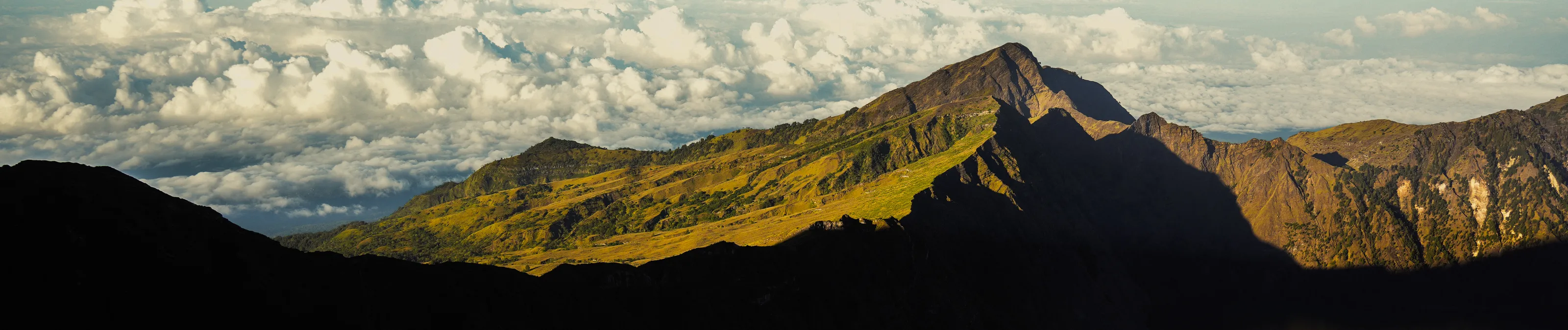 Banner image
