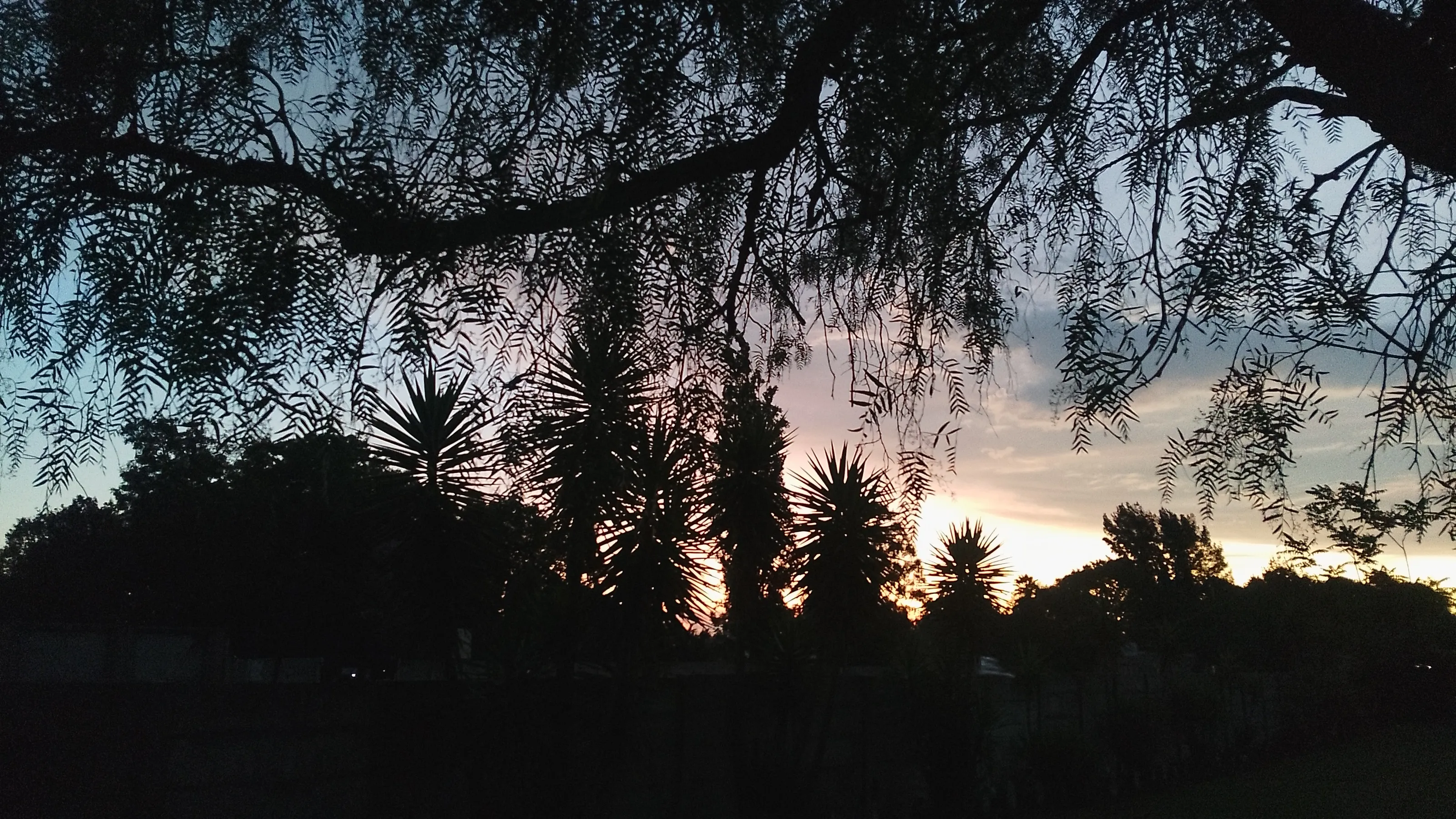 View after a long day