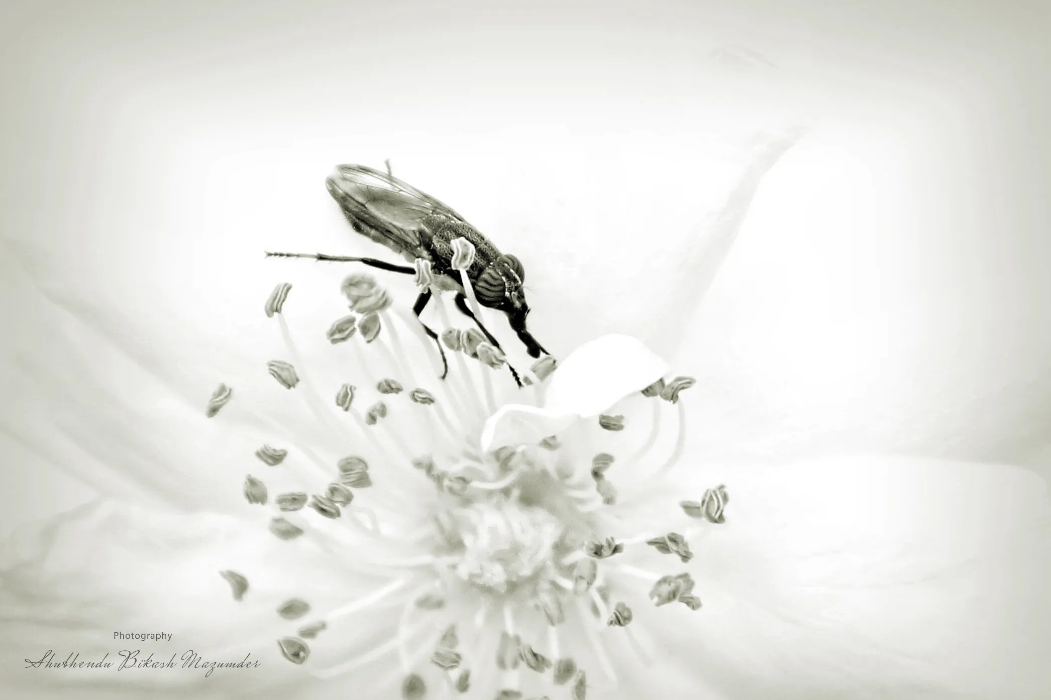 Nature at its best...