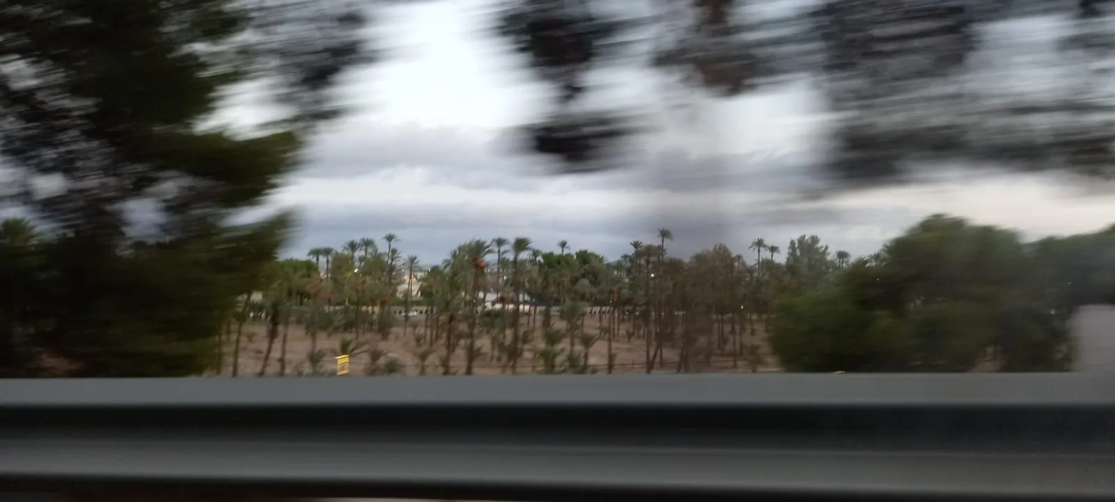 PALM