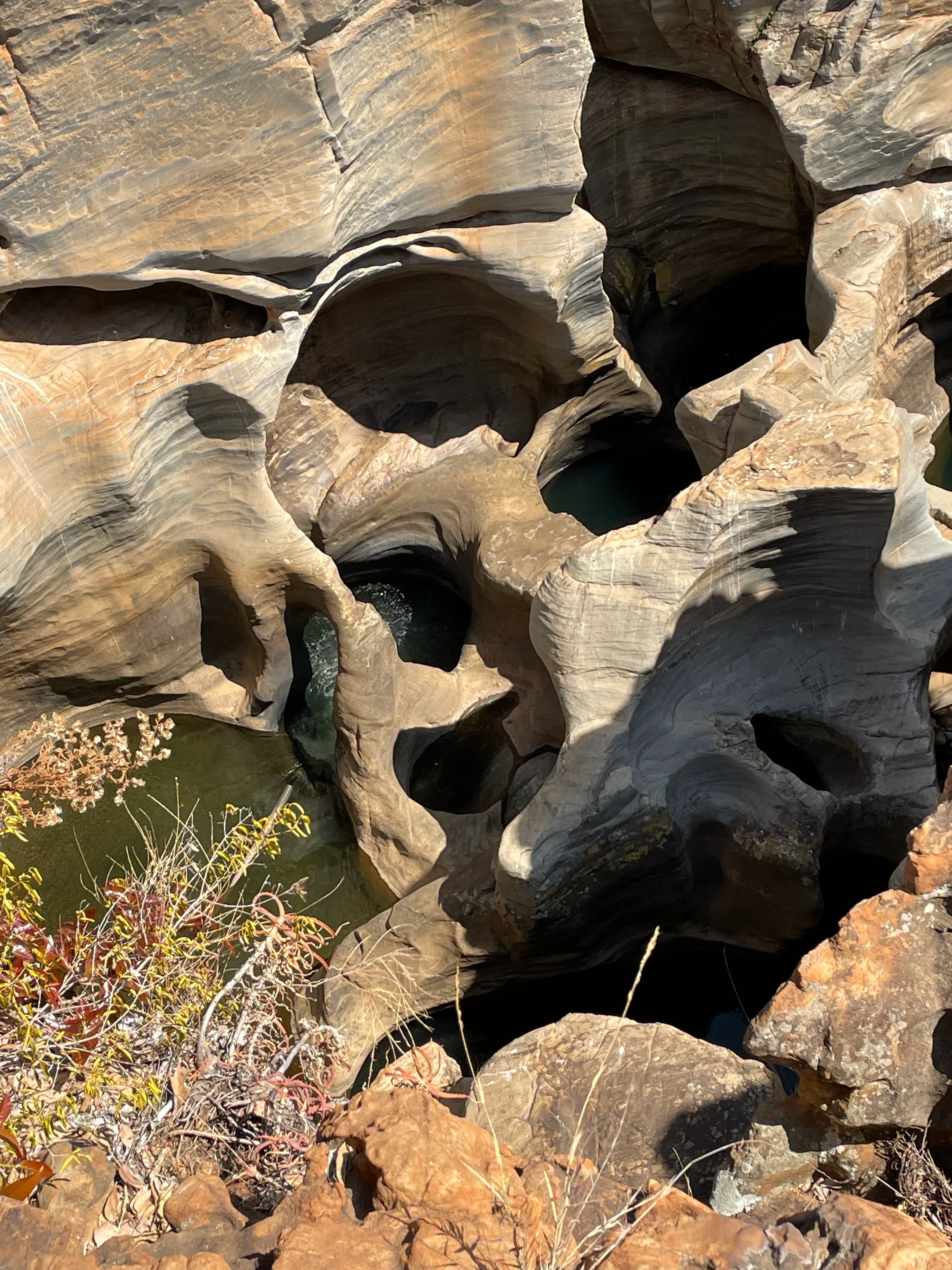 Nature's art