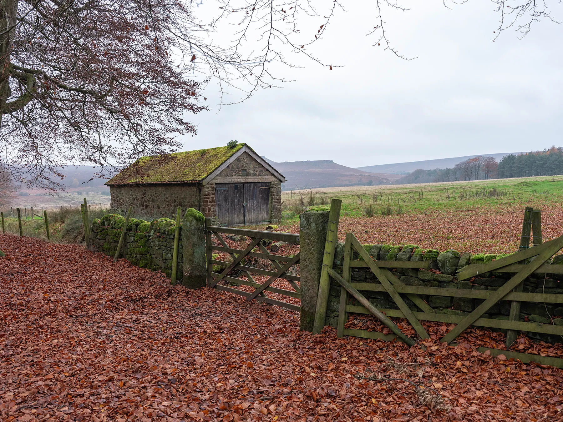 Through the gate