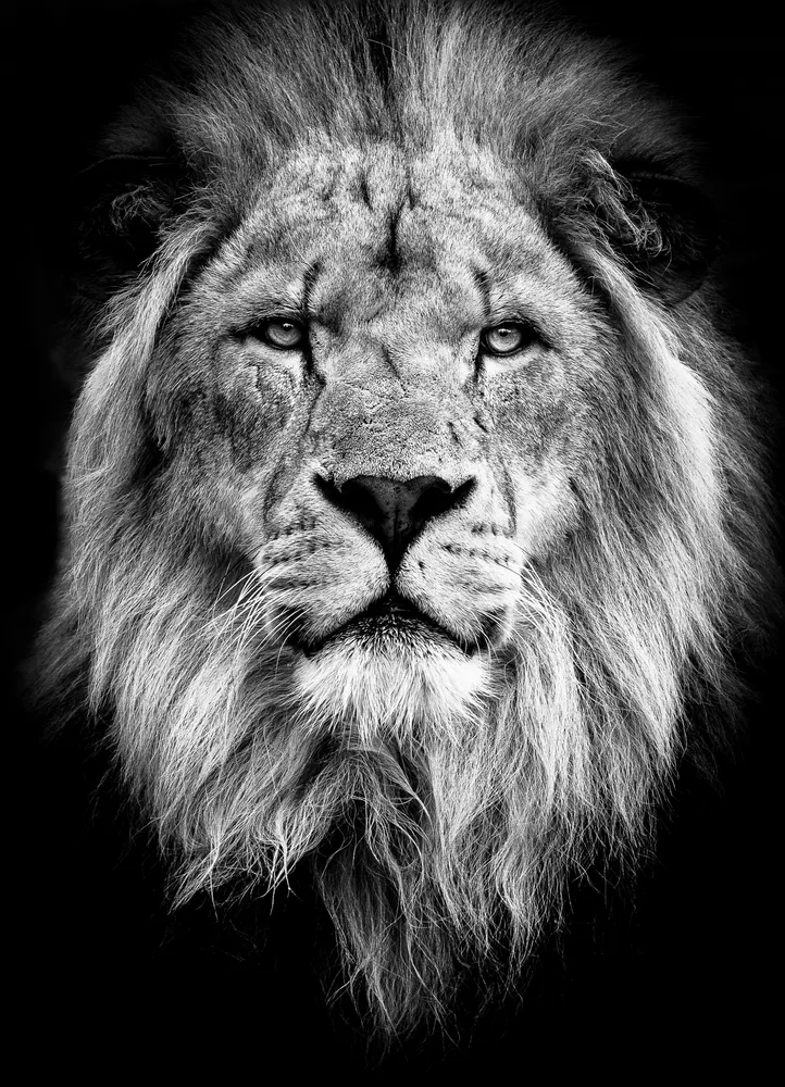 Majestic