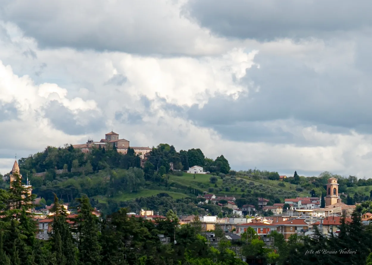 Entry 26236605