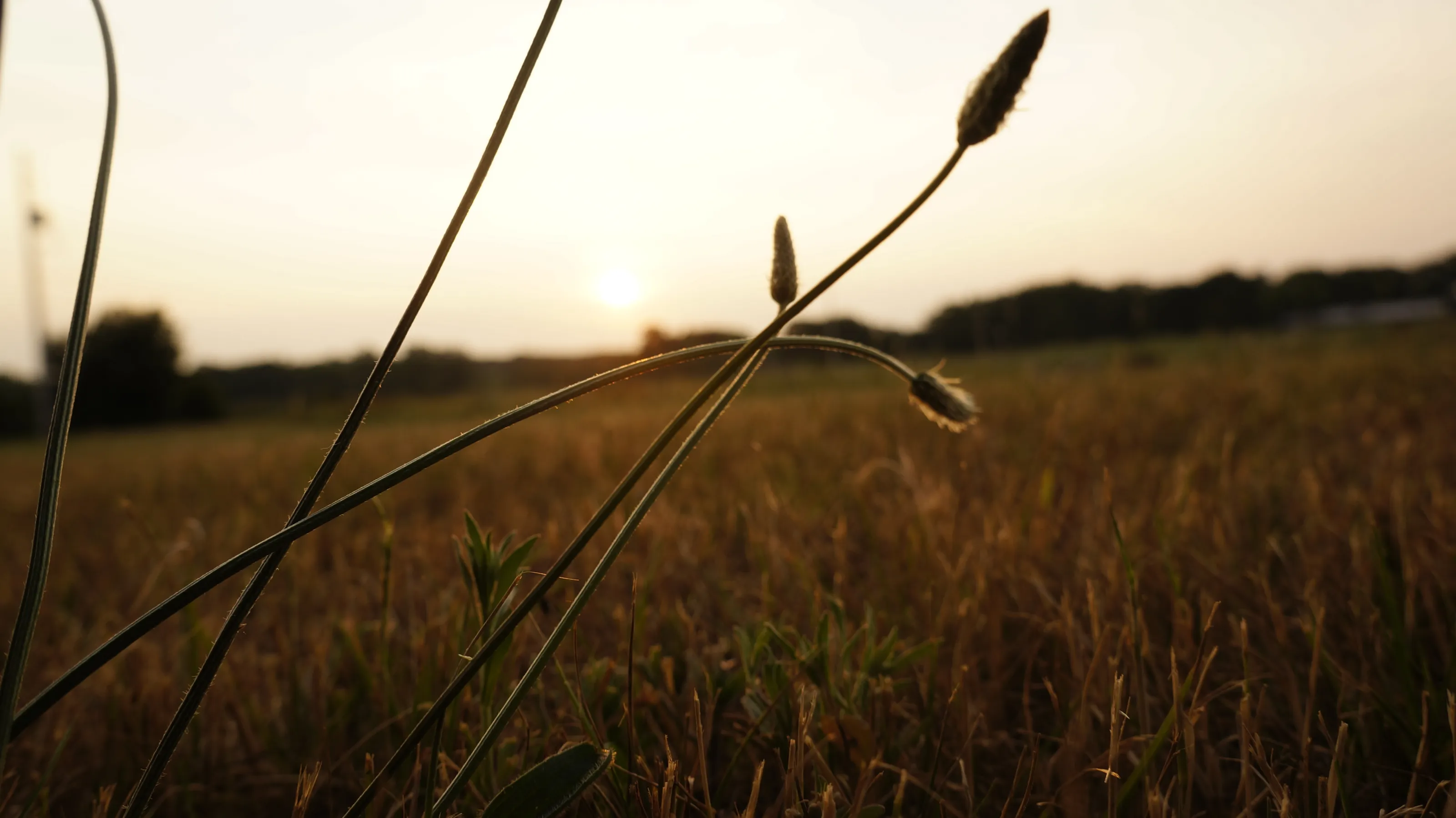 Interrupted Sunset