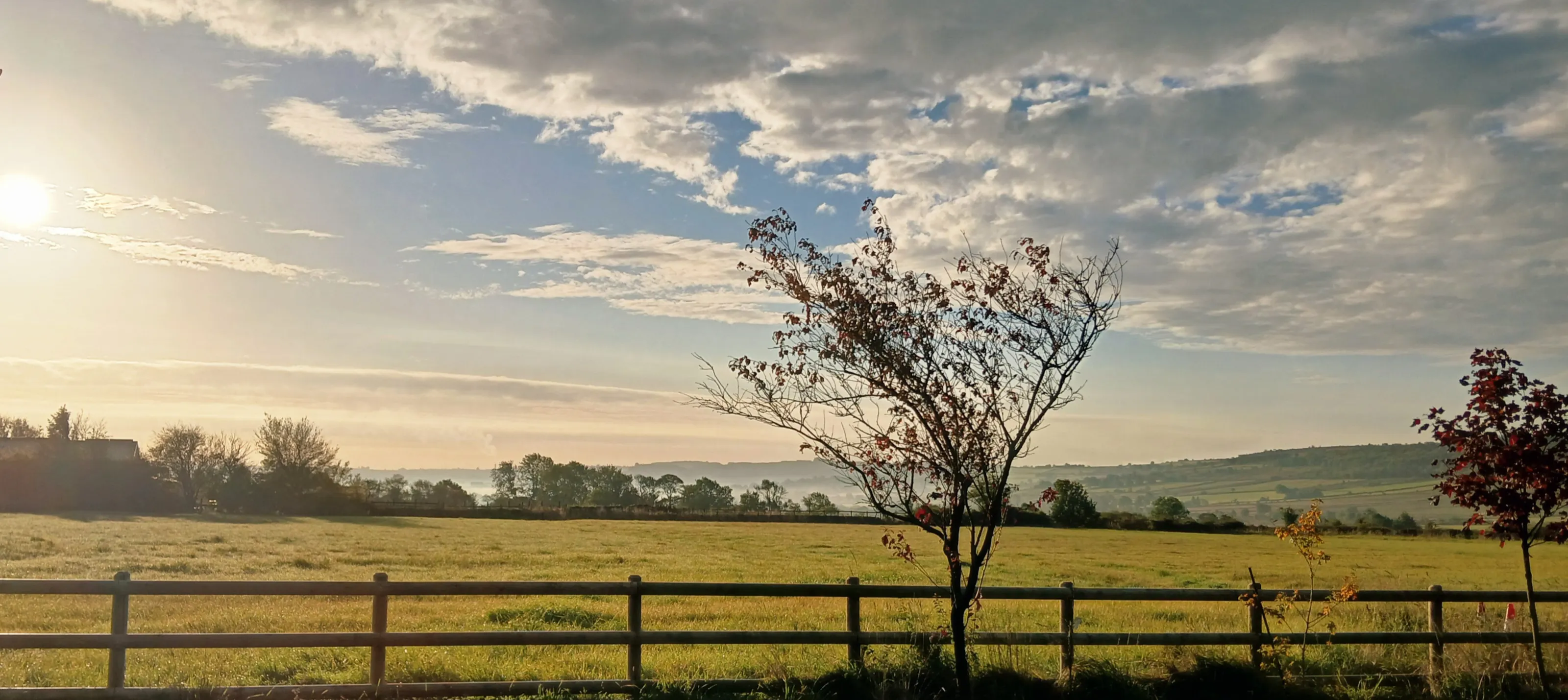 Quiet morning in staffs