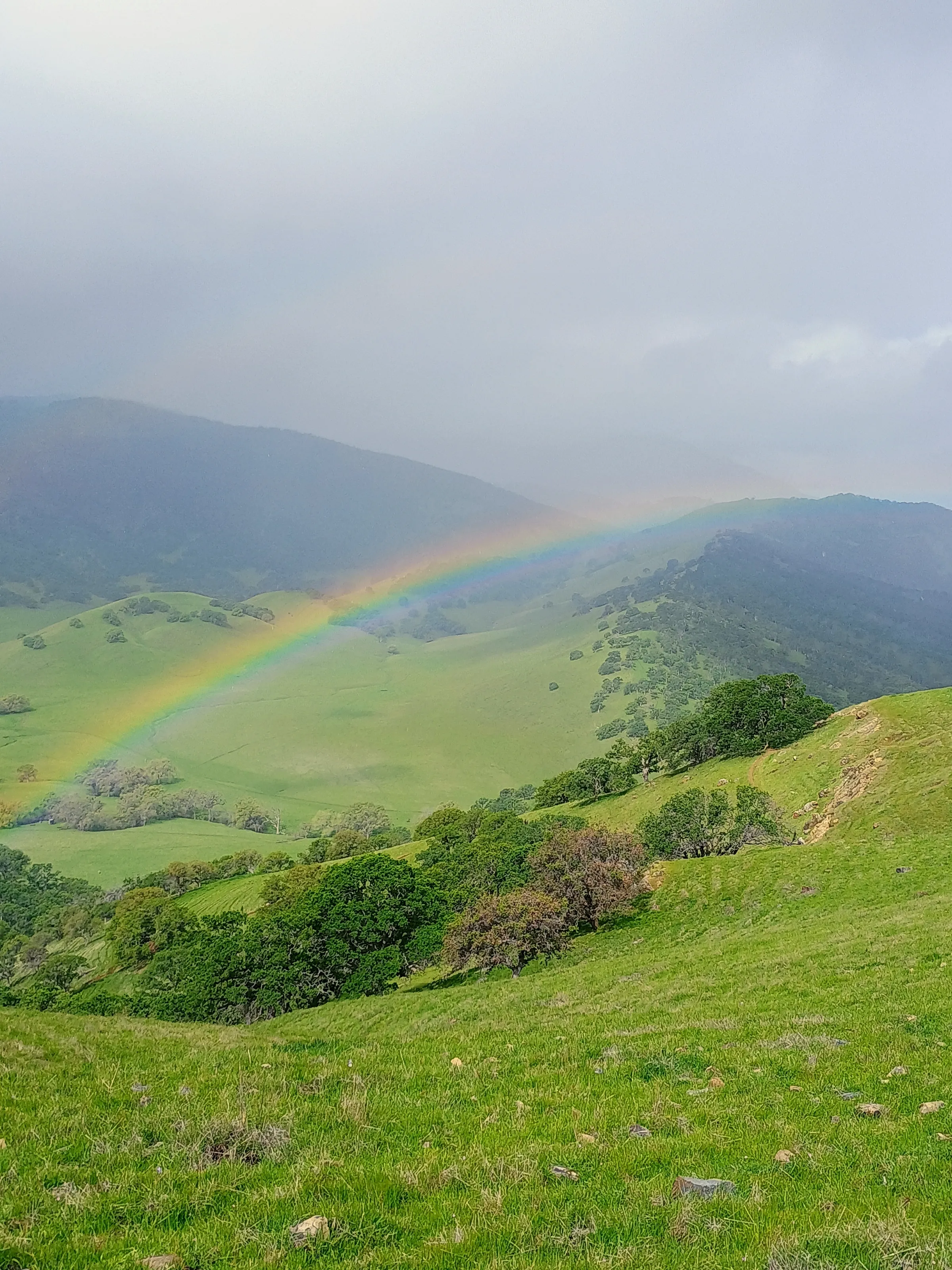 Pot of Gold in Cali