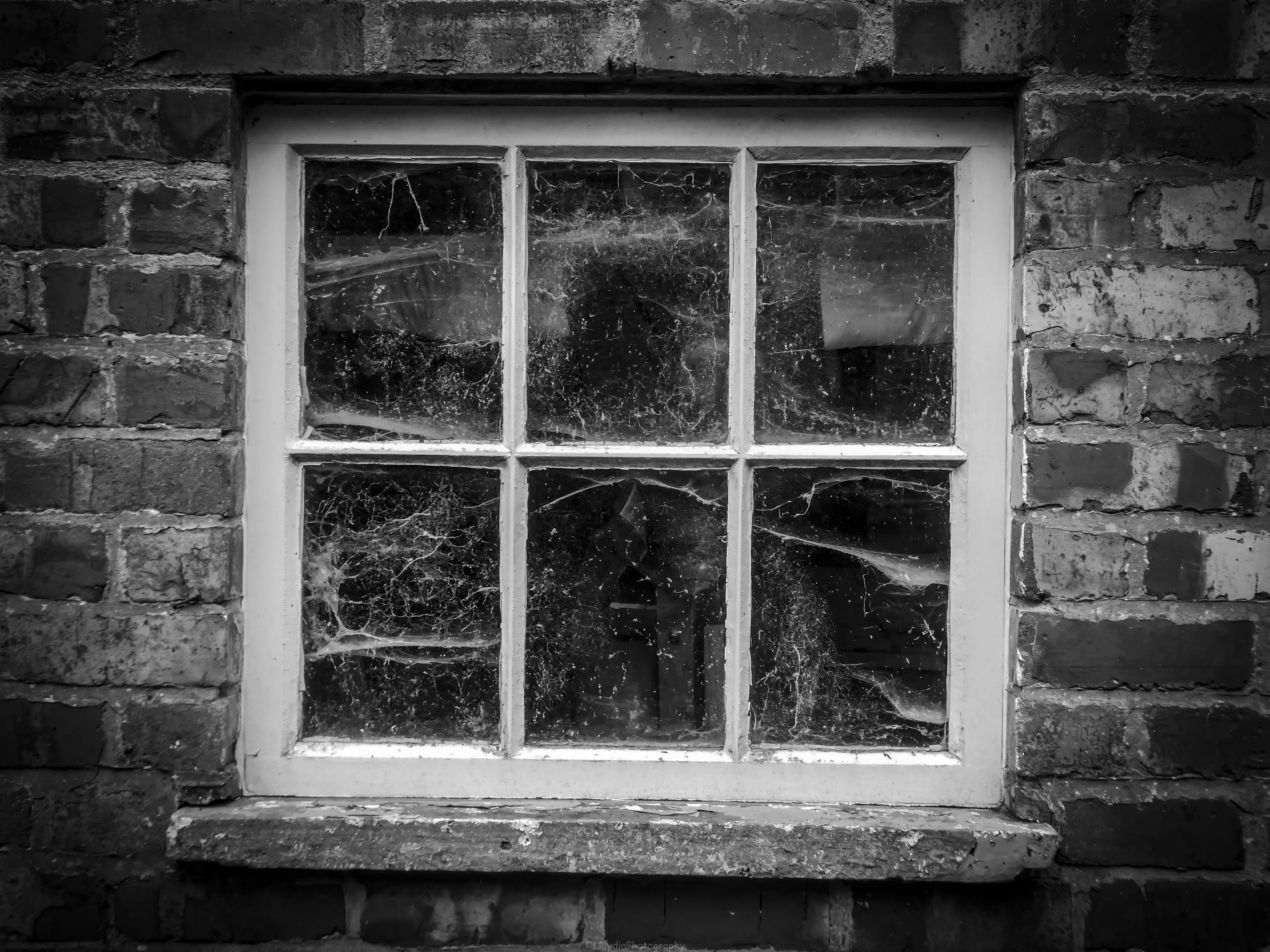 Your Best Black and White Photos