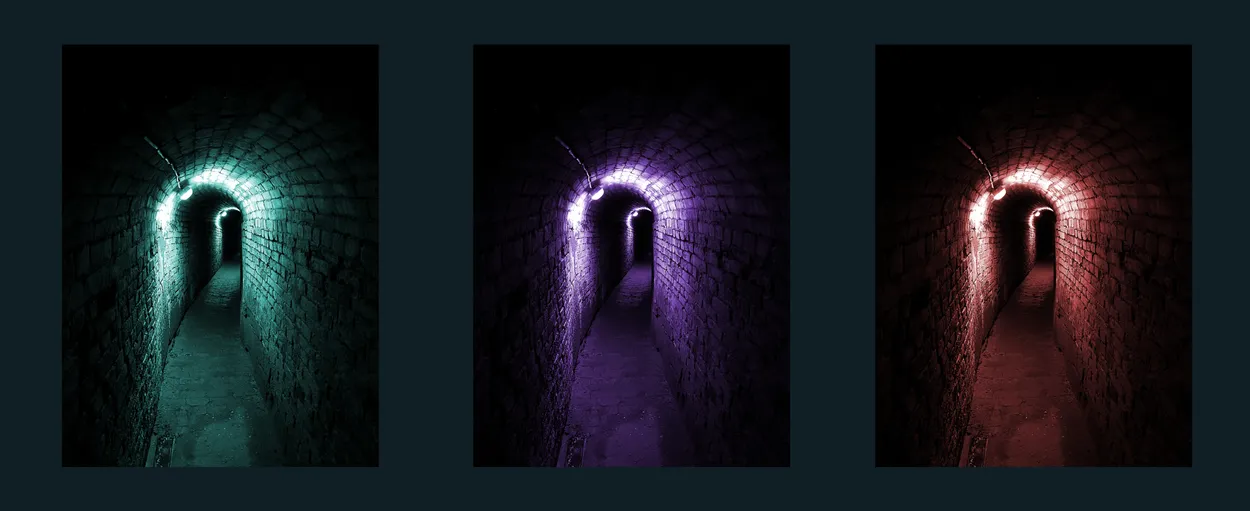 Entry 26269304