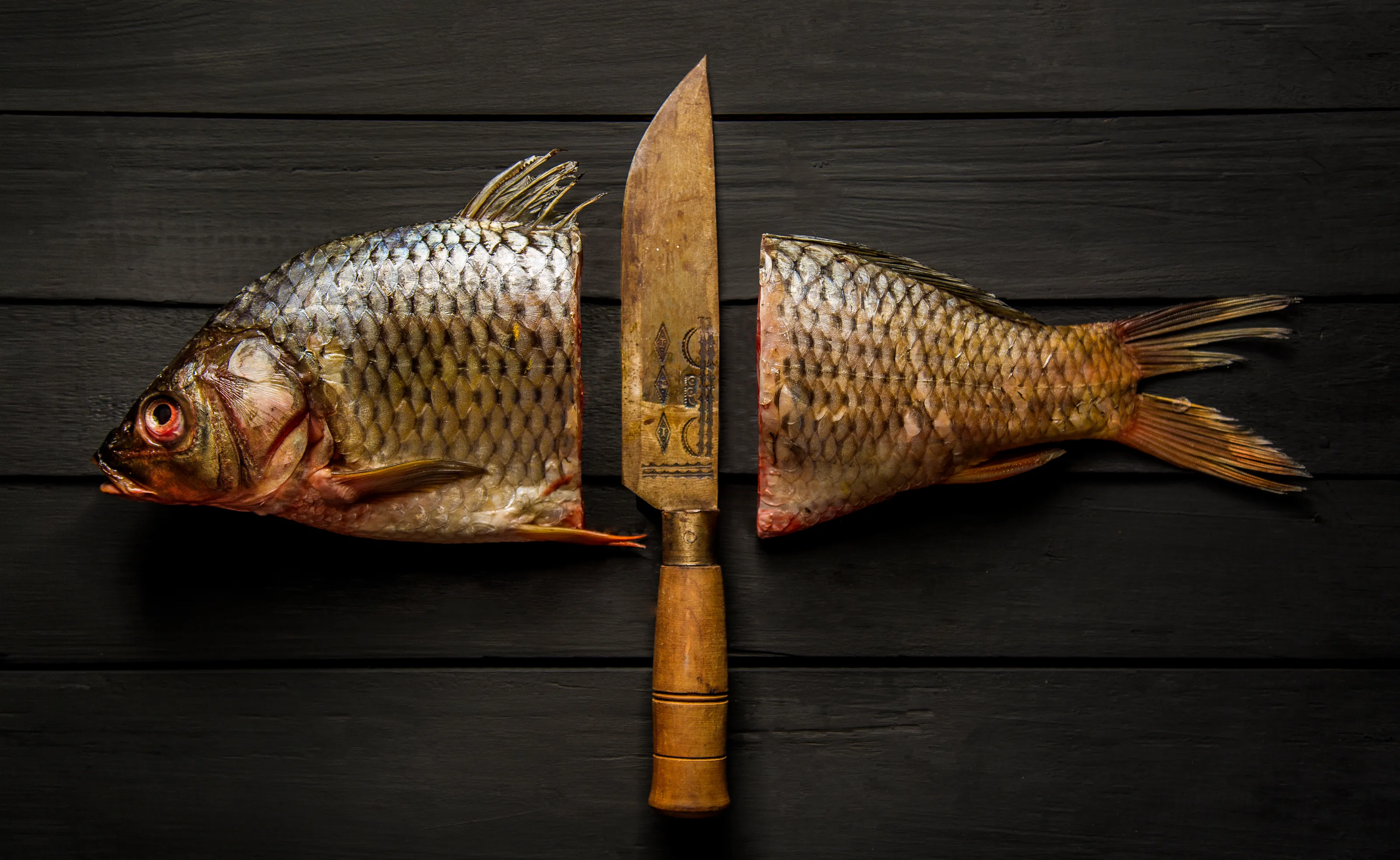 A fish without a head, a fish without a tail!