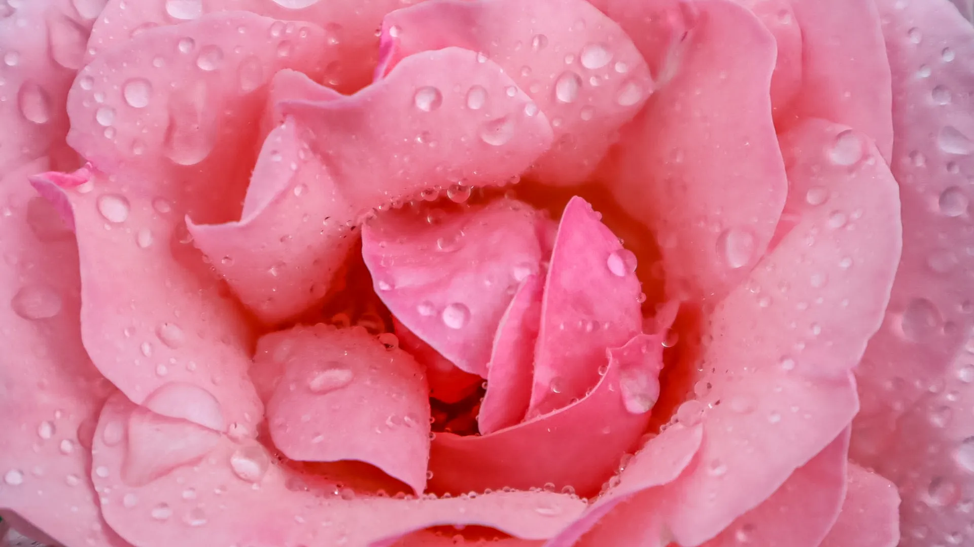 Baby pink!