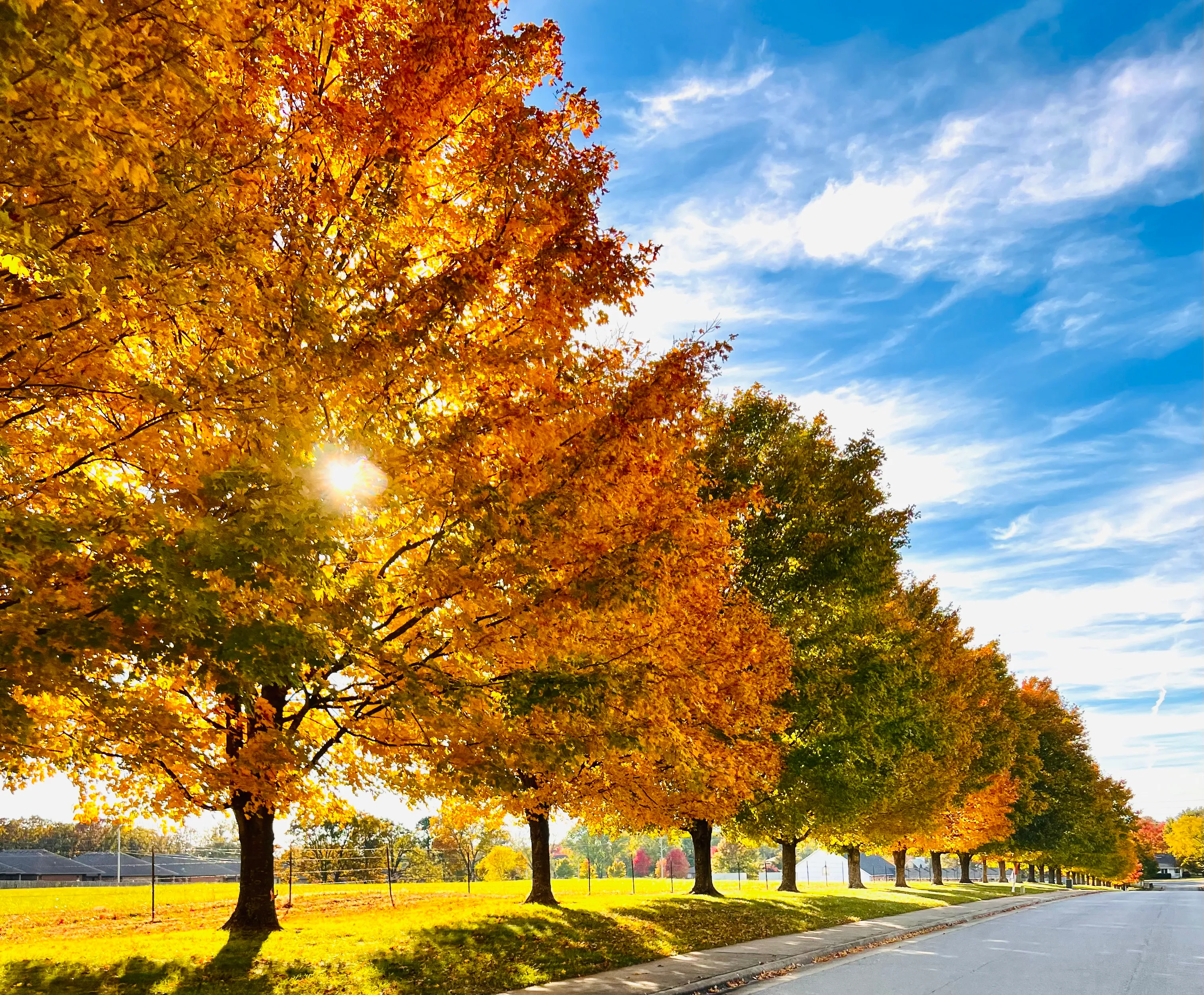 Fall