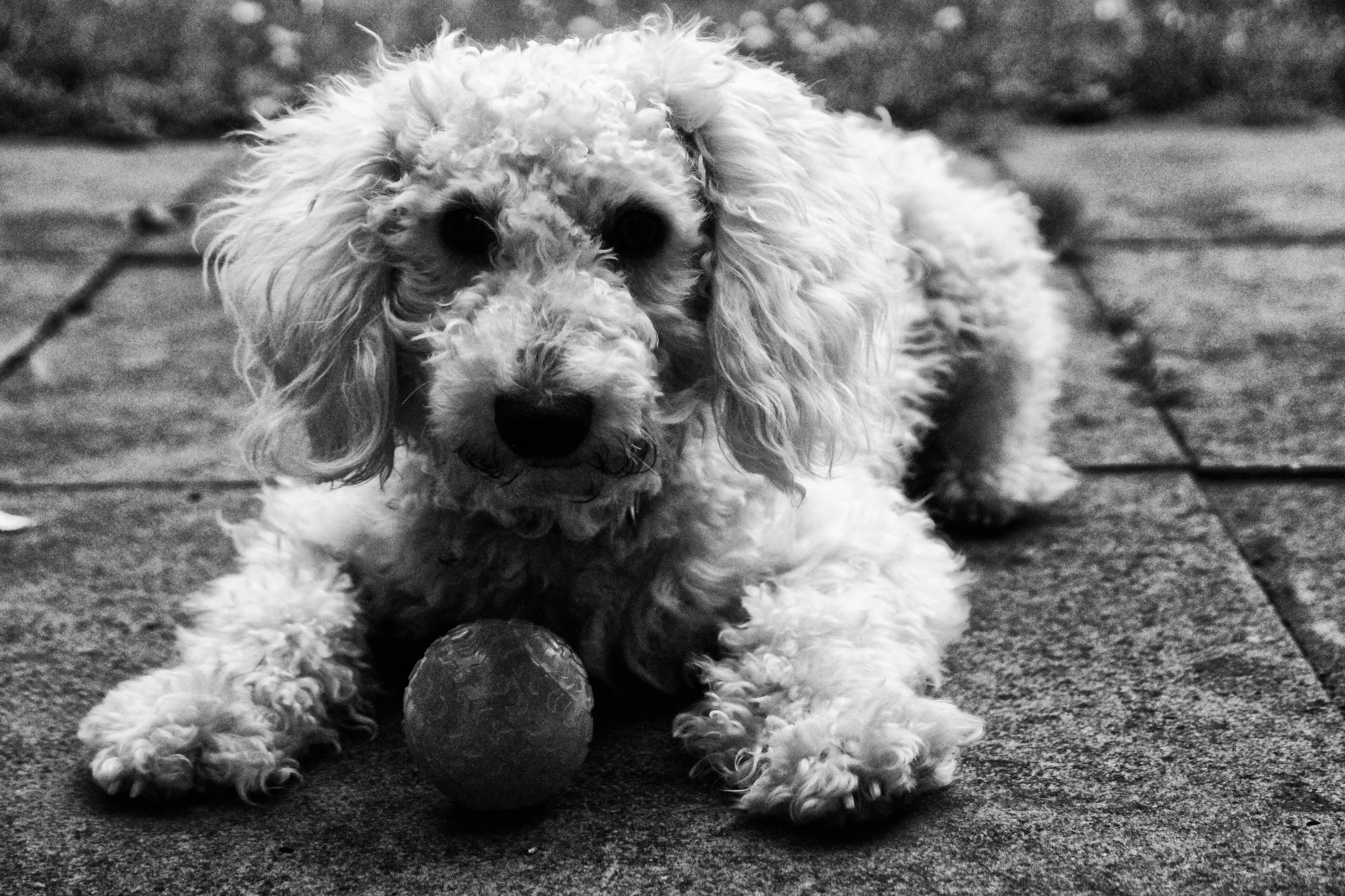 Why won't anyone play with me?