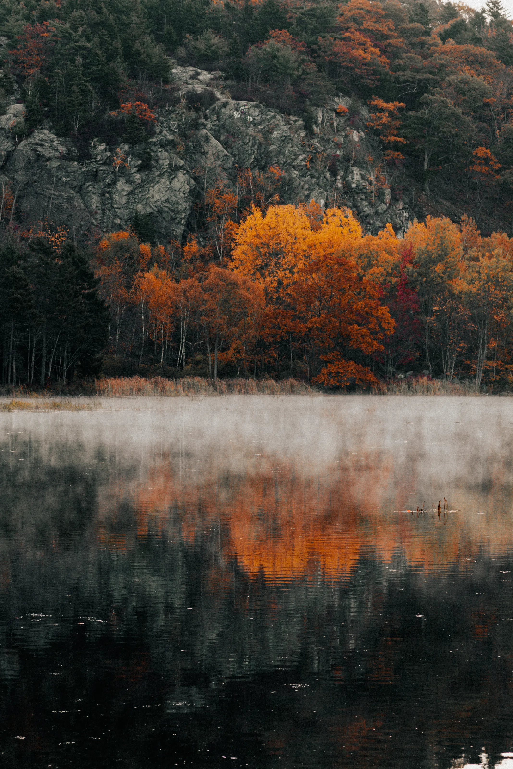 Echoes of October