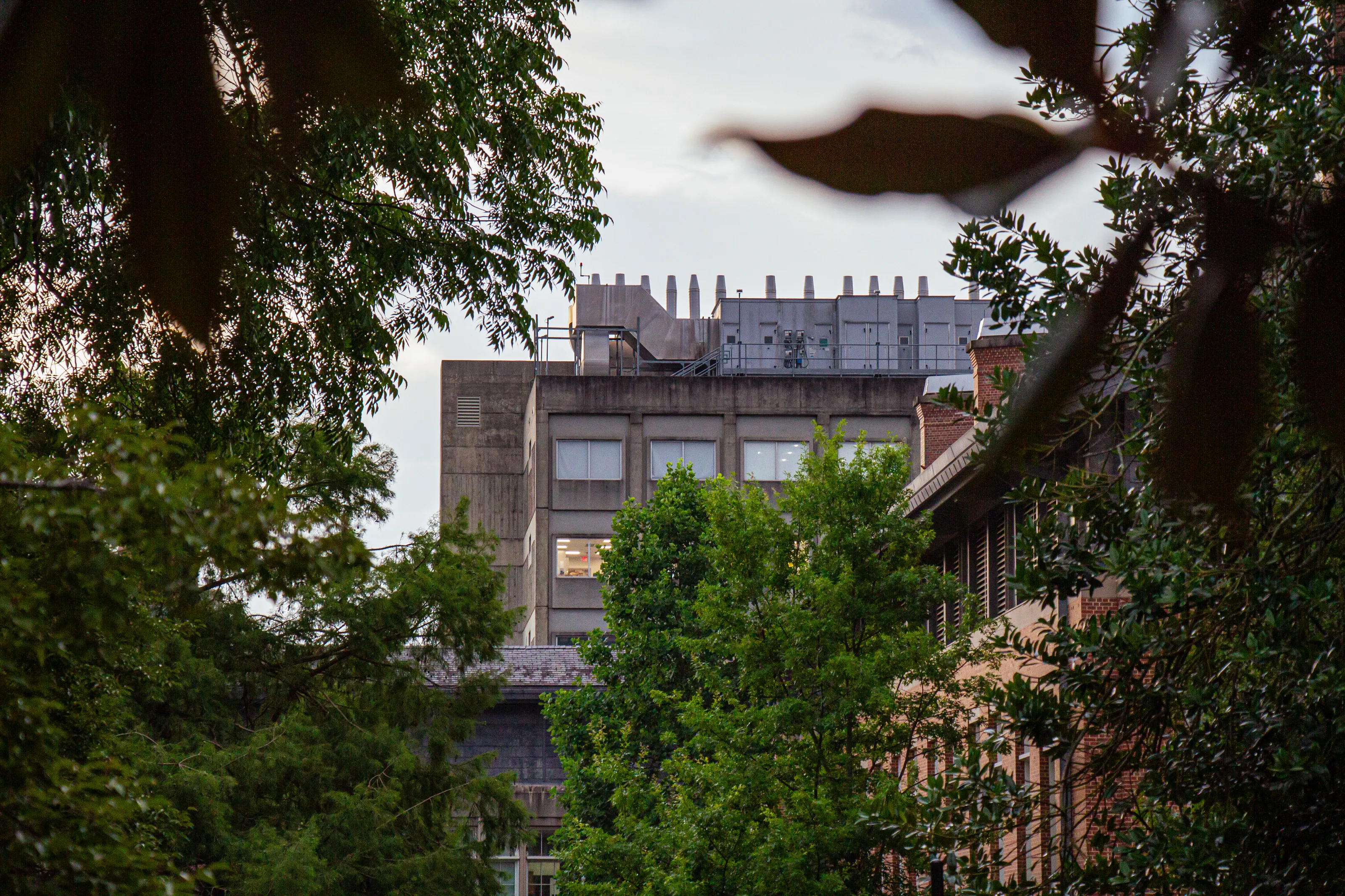 UNC campus through the trees