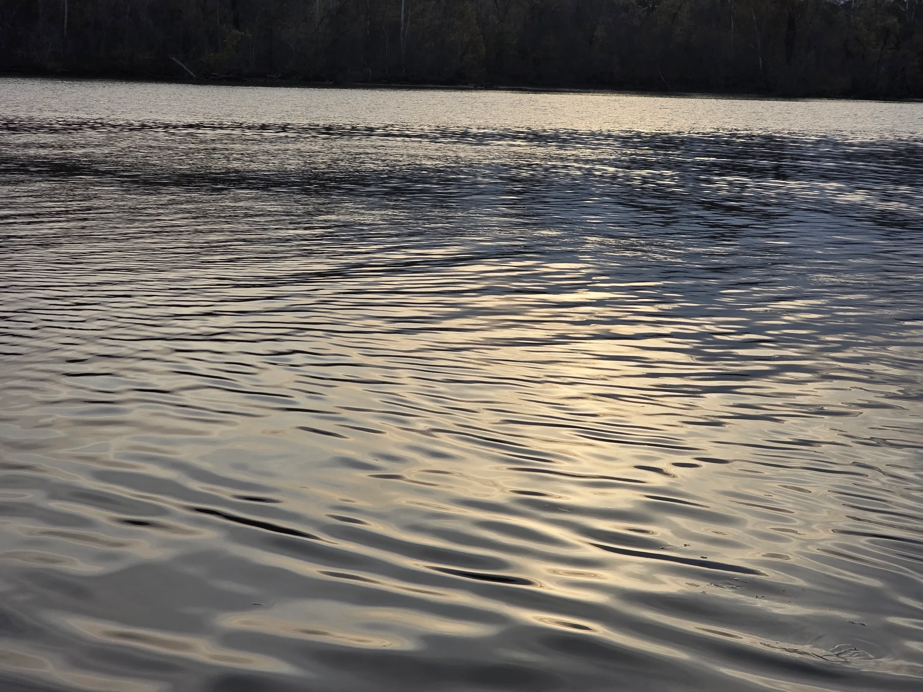 Only Water with Waves