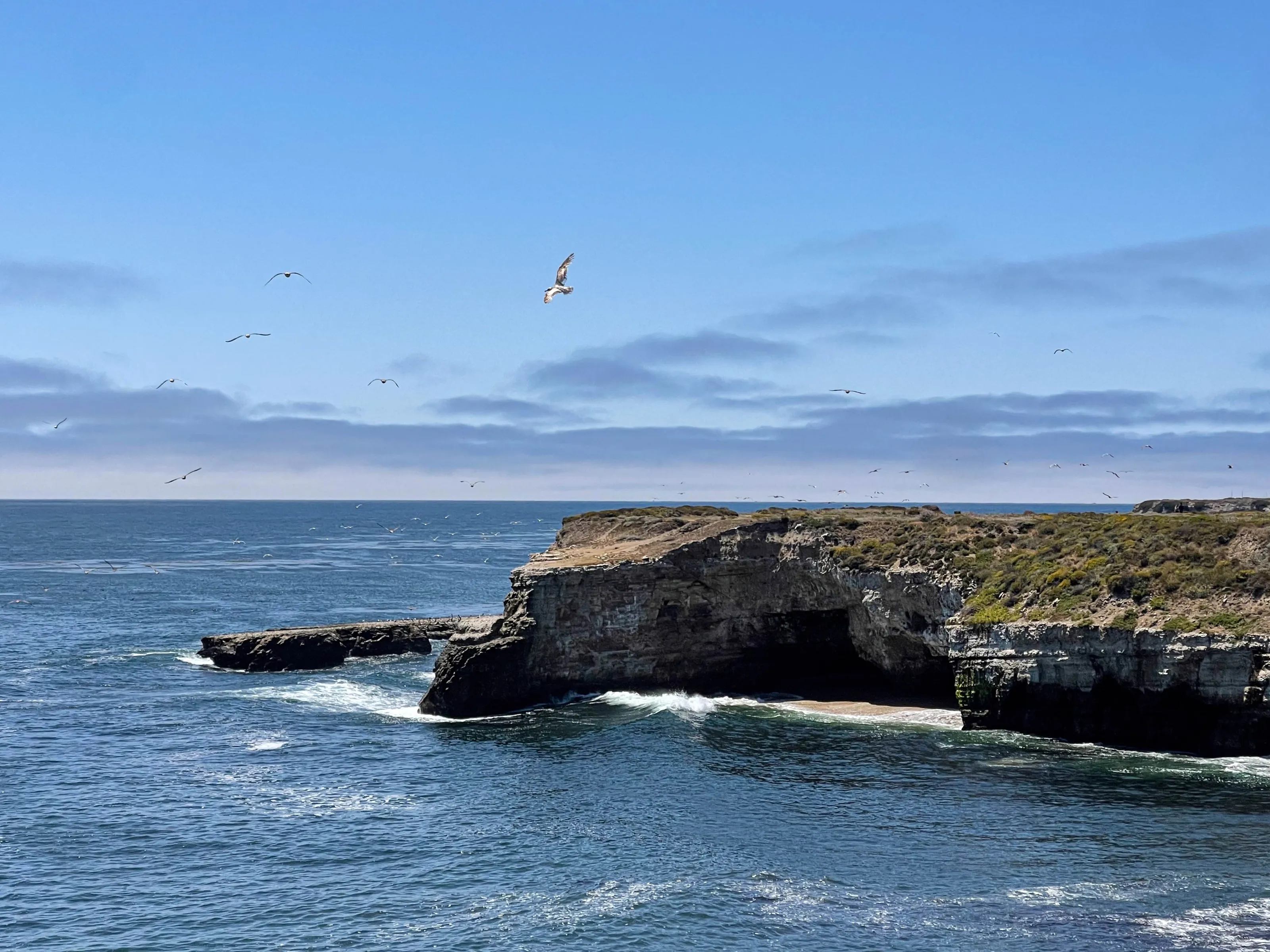 Santa Cruz