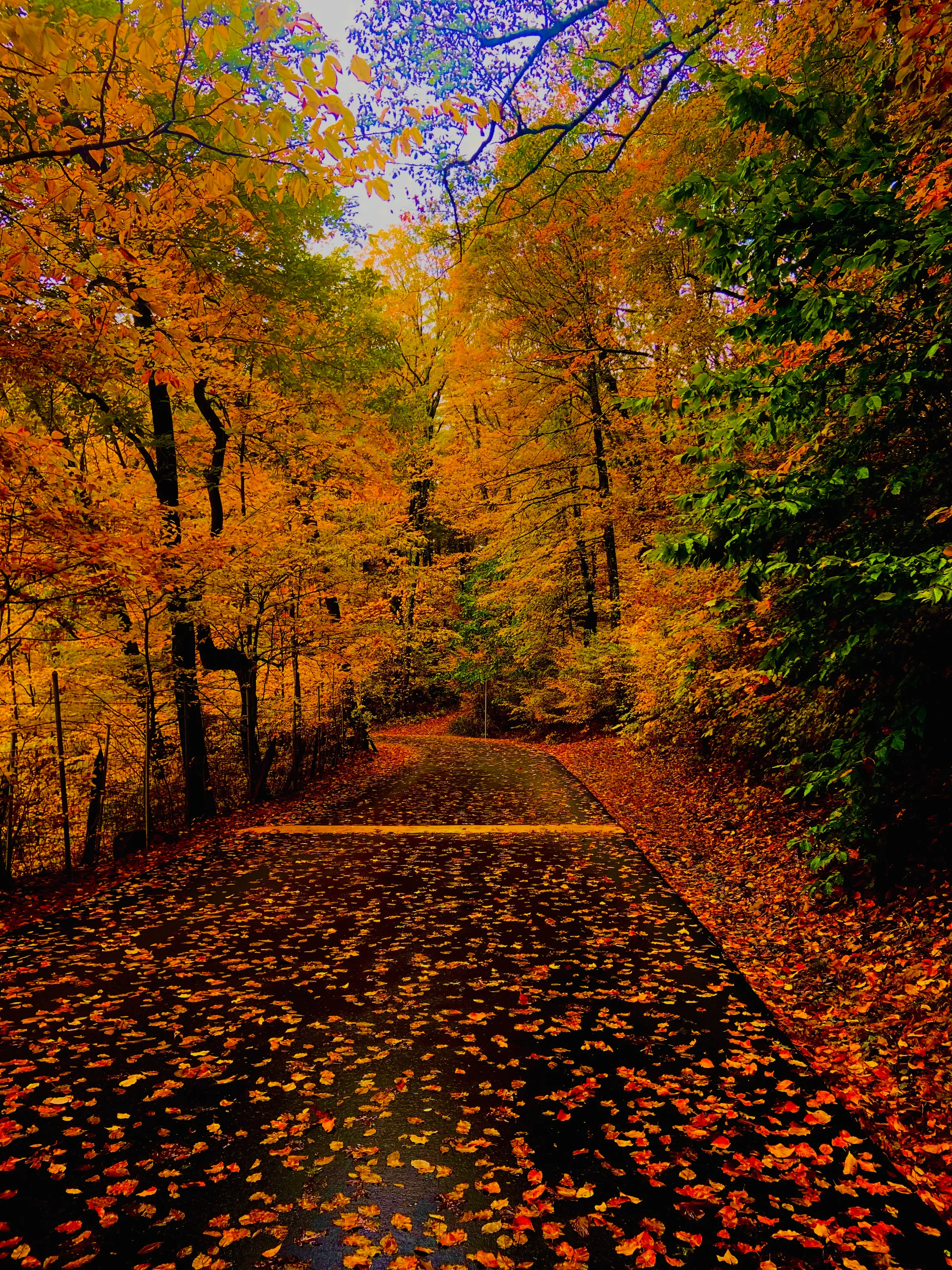 Fall in Connecticut