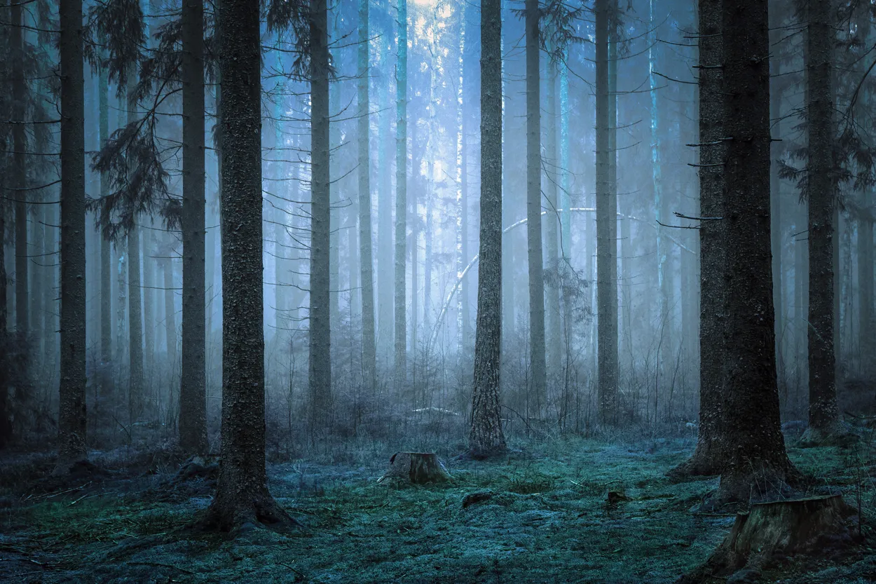 Entry 16769073