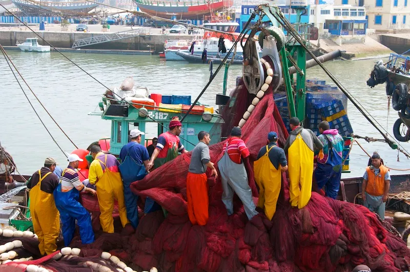 Catch of the day! Essaouira