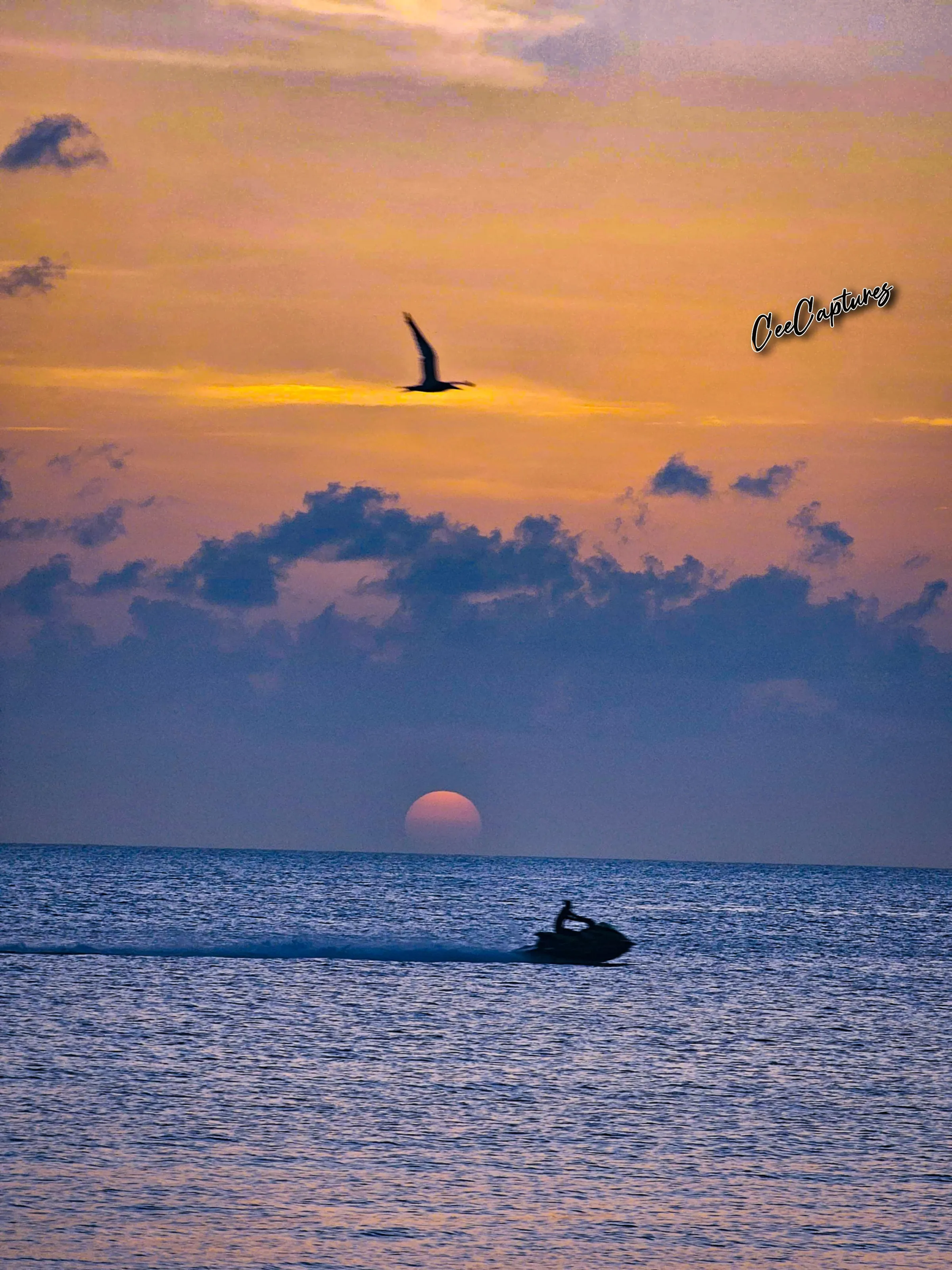 Sunset Serenade