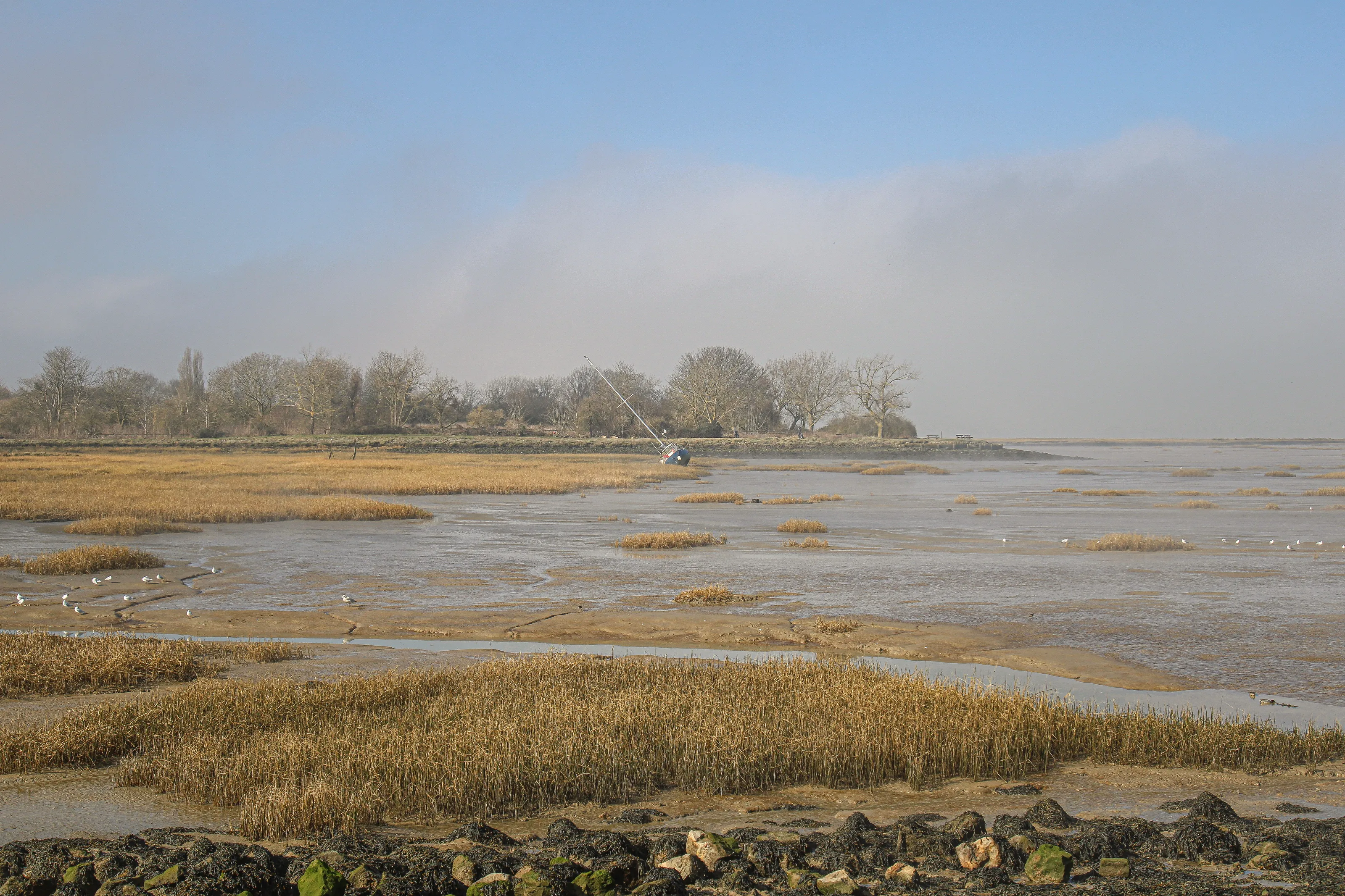 Low Tide