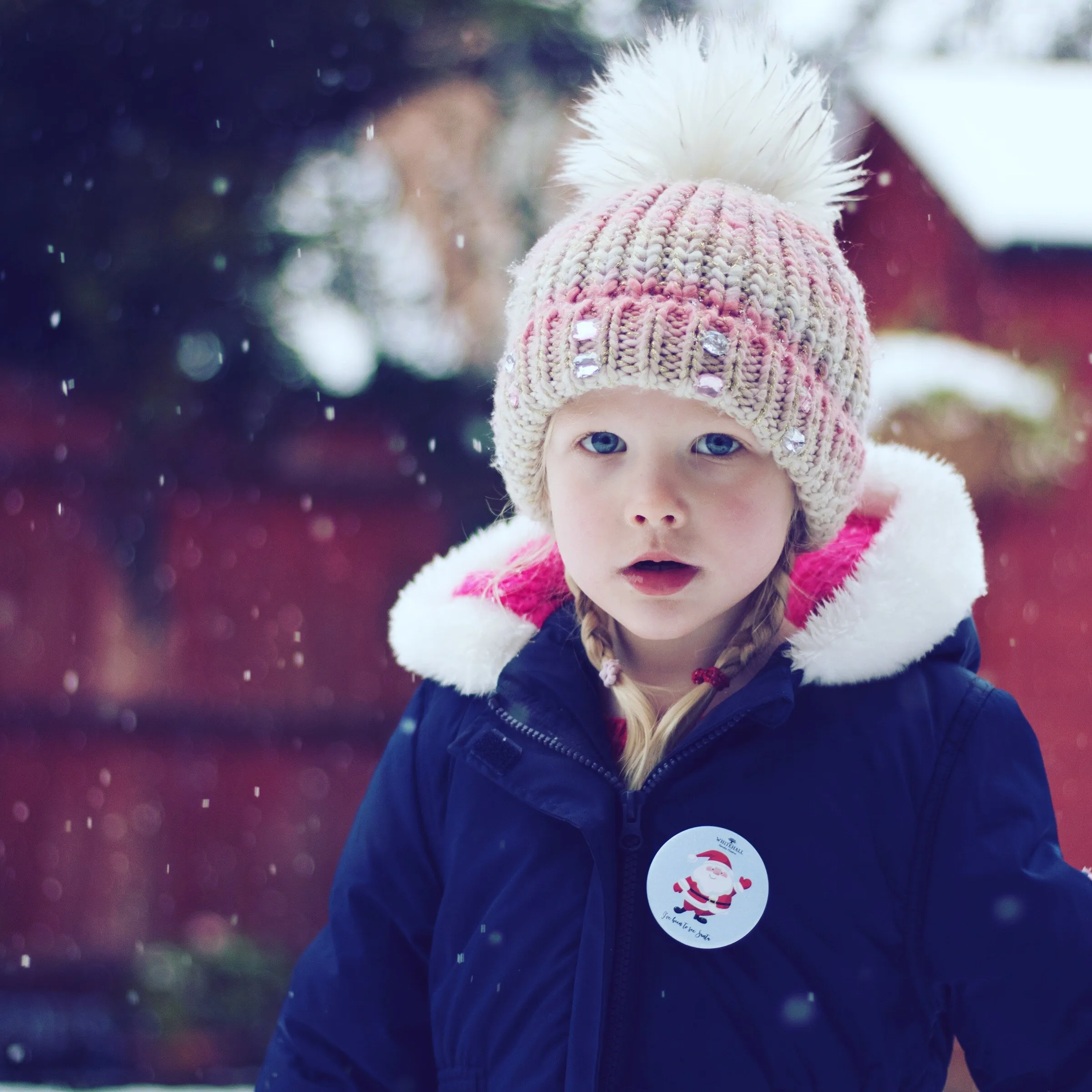 Snow Girl